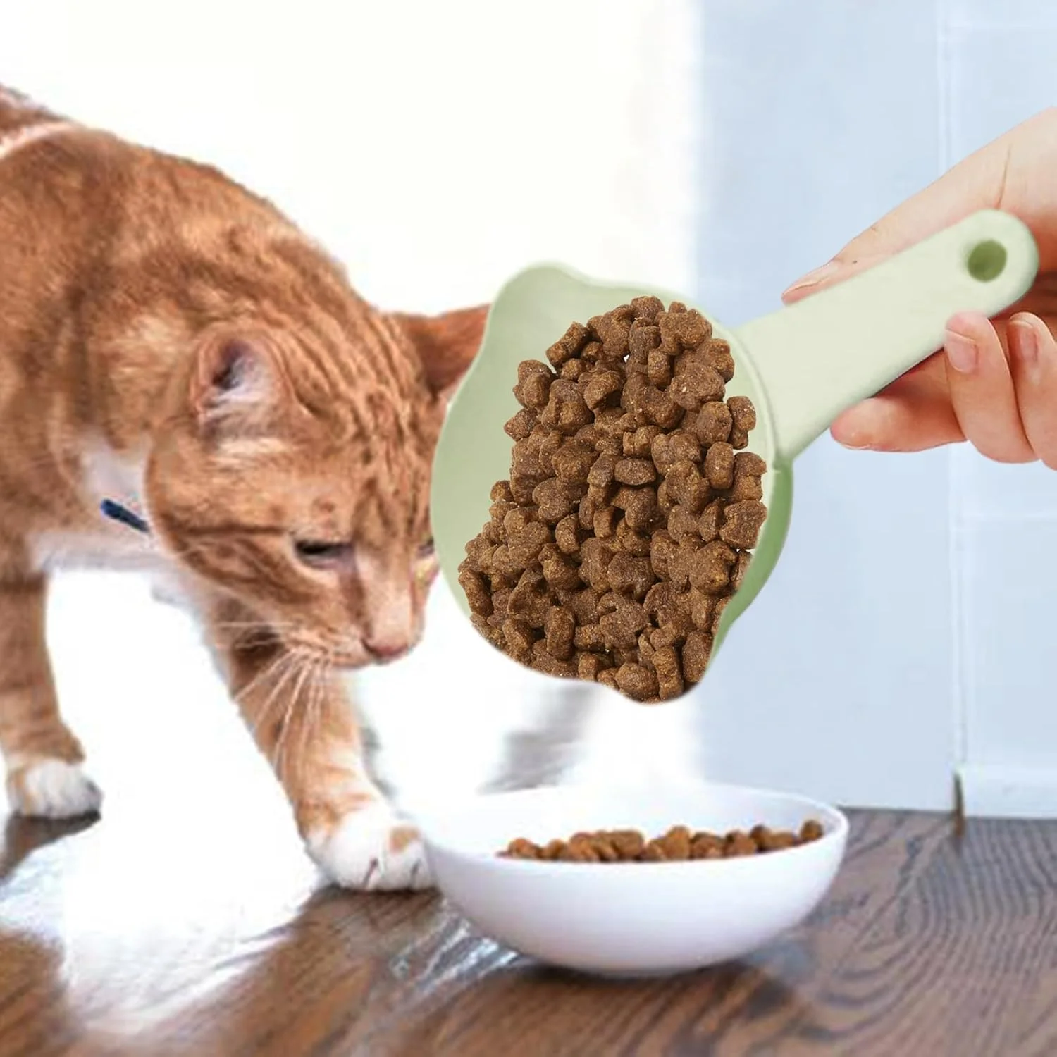 پیمانه غذای گربه | پیمانه قابل تنظیم و ضد ریزش غذای سگ، یک پیمانه | لوازم غذا و آب گربه برای توله سگ، غذای خشک، خاک بستر، غلات پیمانه غذای گربه | پیمانه قابل تنظیم و ضد ریزش غذای سگ، یک پیمانه | لوازم غذا و آب گربه برای توله سگ، غذای خشک، خاک بستر، غلات