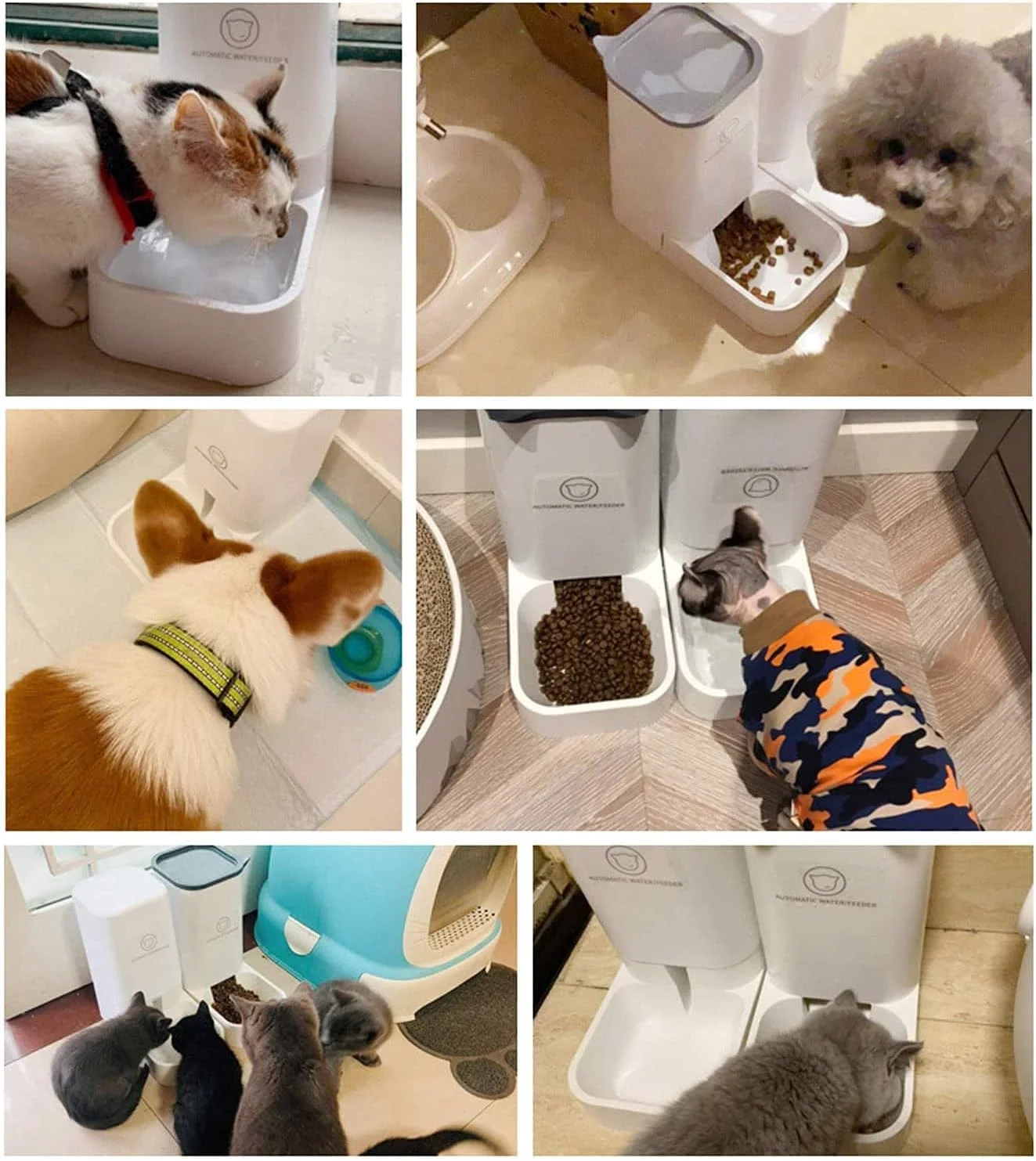 ست ظرف غذای اتوماتیک و آبخوری حیوانات خانگی N / B، بدون ریزش، آب پخش کن بزرگ اتوماتیک گرانشی و پخش کننده غذای خشک اتوماتیک، تغذیه خودکار برای گربه ها، سگ ها، توله سگ و بچه گربه های کوچک، متوسط و بزرگ ست ظرف غذای اتوماتیک و آبخوری حیوانات خانگی N / B، بدون ریزش، آب پخش کن بزرگ اتوماتیک گرانشی و پخش کننده غذای خشک اتوماتیک، تغذیه خودکار برای گربه ها، سگ ها، توله سگ و بچه گربه های کوچک، متوسط و بزرگ