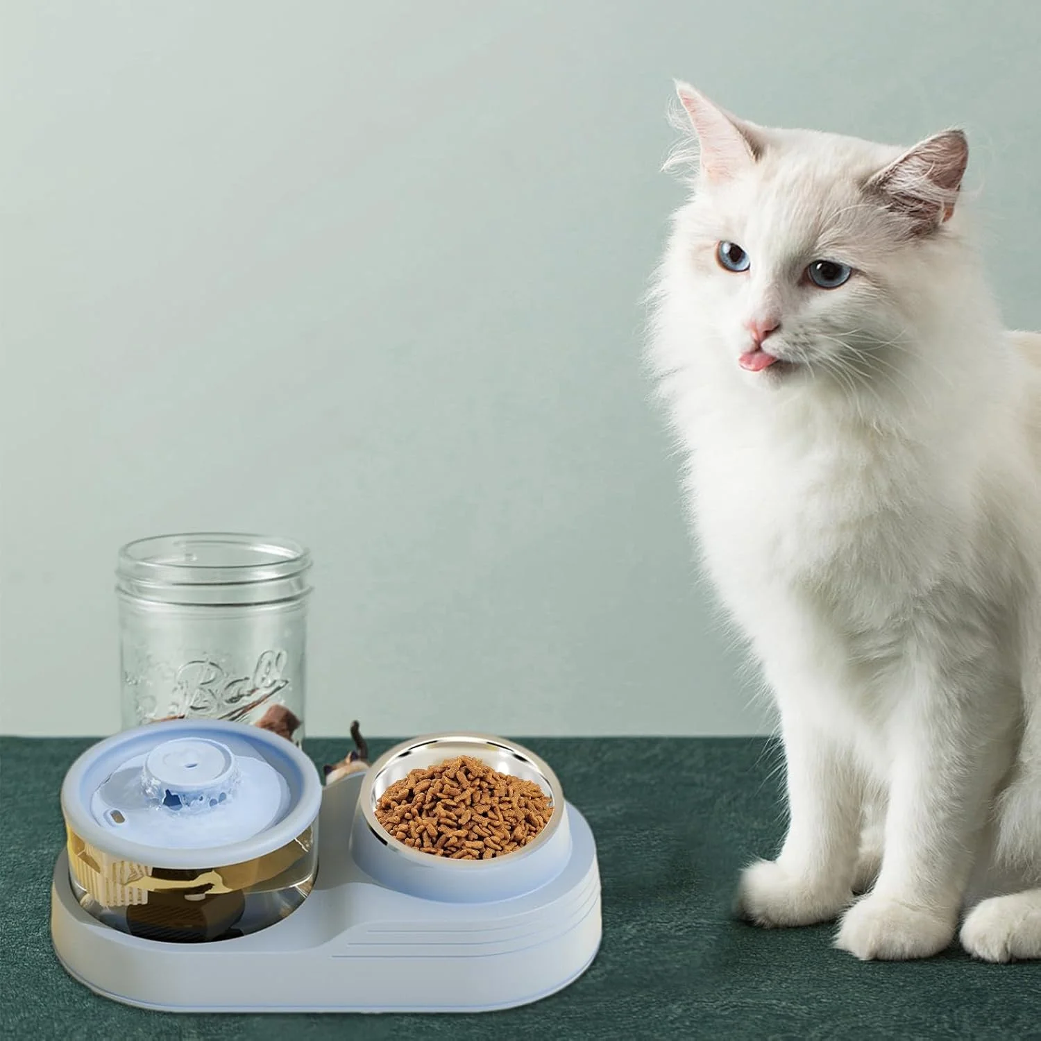 ظرف غذای اتوماتیک سگ و گربه، پایه ضد لغزش، لوازم غذا و آب قابل جابجایی برای مدیریت پرورشگاه