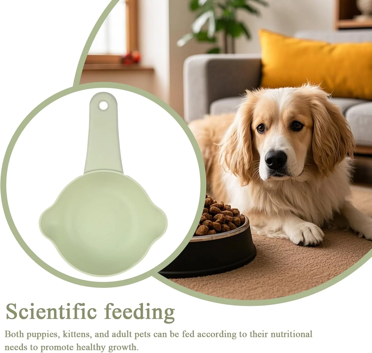 پیمانه غذای گربه - پیمانه غذای قابل تنظیم و کاربردی | ابزار و ظروف آشپزی تجاری برای پرندگان، توله سگ ها، آشپزخانه، غذا دادن، پخت و پز