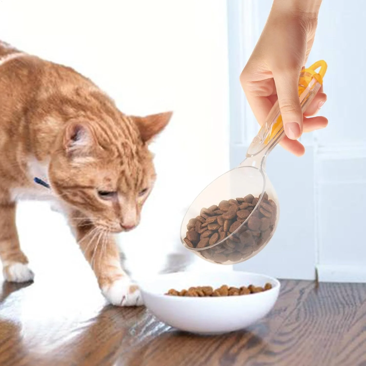 قاشق گربه برای خوراکی های لذیذ - پیمانه اندازه گیری غذای سگ با گیره آب بندی - 200 میلی لیتر چند منظوره شفاف قابل استفاده مجدد برای تغذیه و آبرسانی حیوانات خانگی