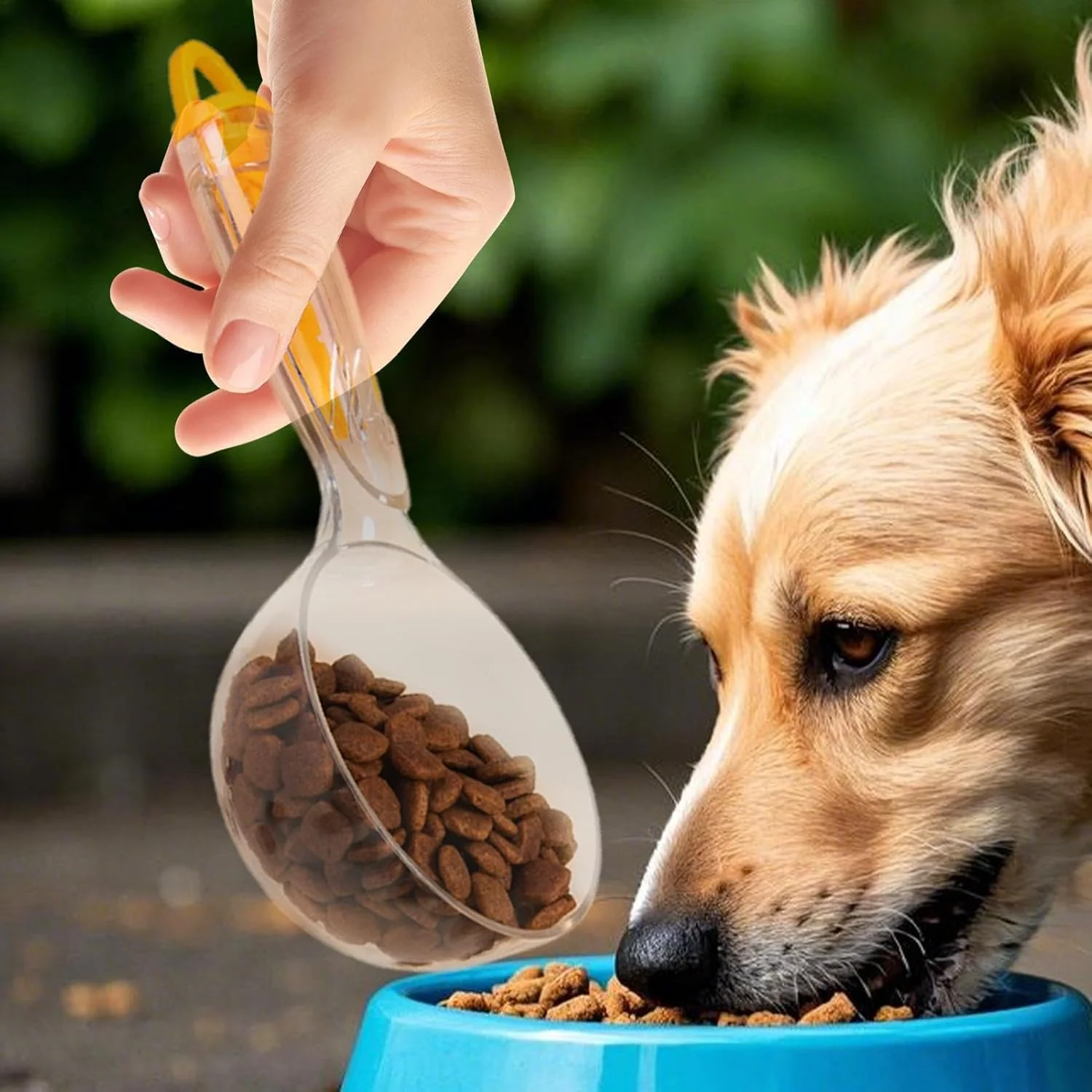 قاشق گربه برای خوراکی های لذیذ - پیمانه اندازه گیری غذای سگ با گیره آب بندی - 200 میلی لیتر چند منظوره شفاف قابل استفاده مجدد برای تغذیه و آبرسانی حیوانات خانگی