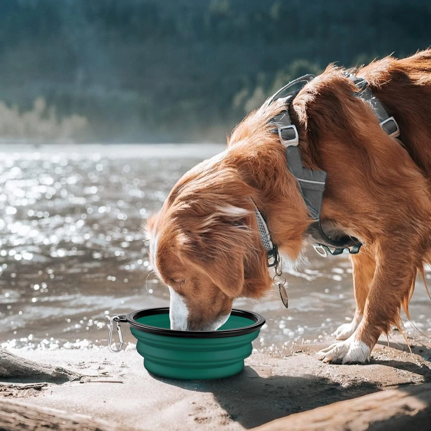 ظرف تاشو سگ COOYOO، بسته 2 عددی ظرف تاشو آب سگ برای گربه ها و سگ ها، ظرف غذا و آب قابل حمل حیوانات خانگی برای پیاده روی، پارک و مسافرت با 2 کارابین، فاقد BPA