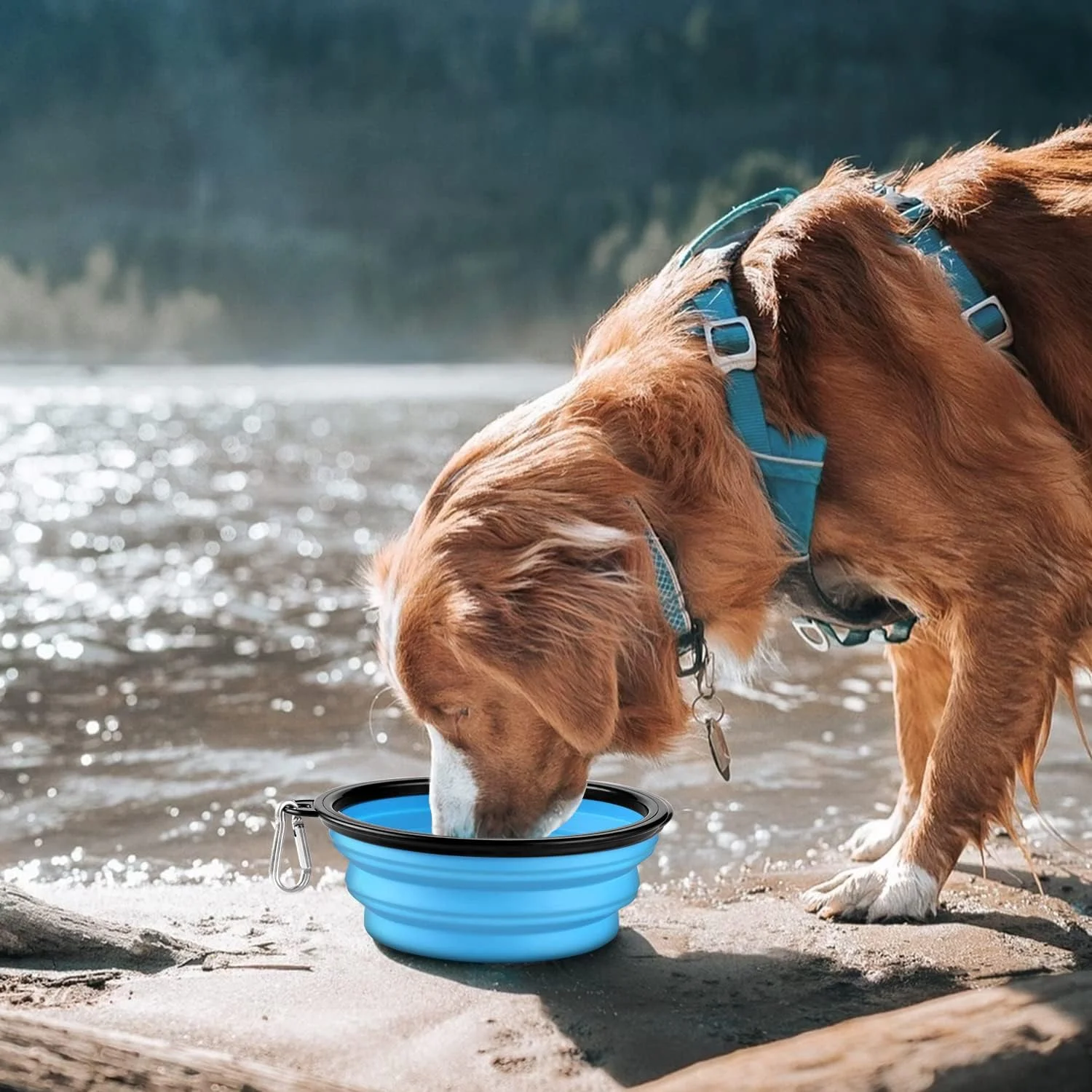 ظرف تاشو سگ COOYOO، بسته 2 عددی ظرف آب تاشو سگ برای گربه ها و سگ ها، ظرف غذا و آب قابل حمل حیوانات خانگی برای پیاده روی، پارک، مسافرت با 2 کارابین، بدون BPA