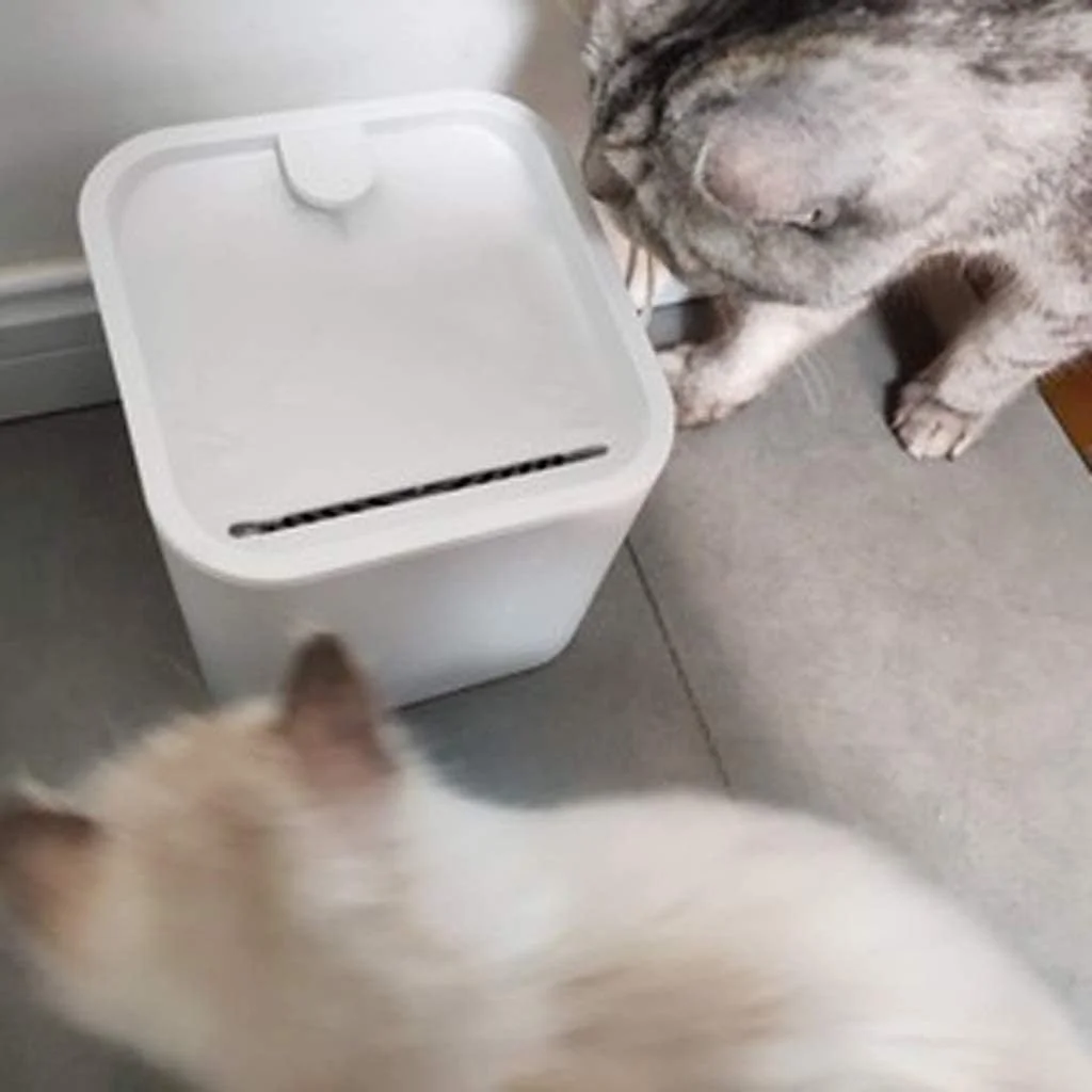 آبخوری اتوماتیک حیوانات خانگی WYJW با گردش آب، ظرفیت 1.8 لیتر، مناسب سگ و گربه (رنگ: سفید)