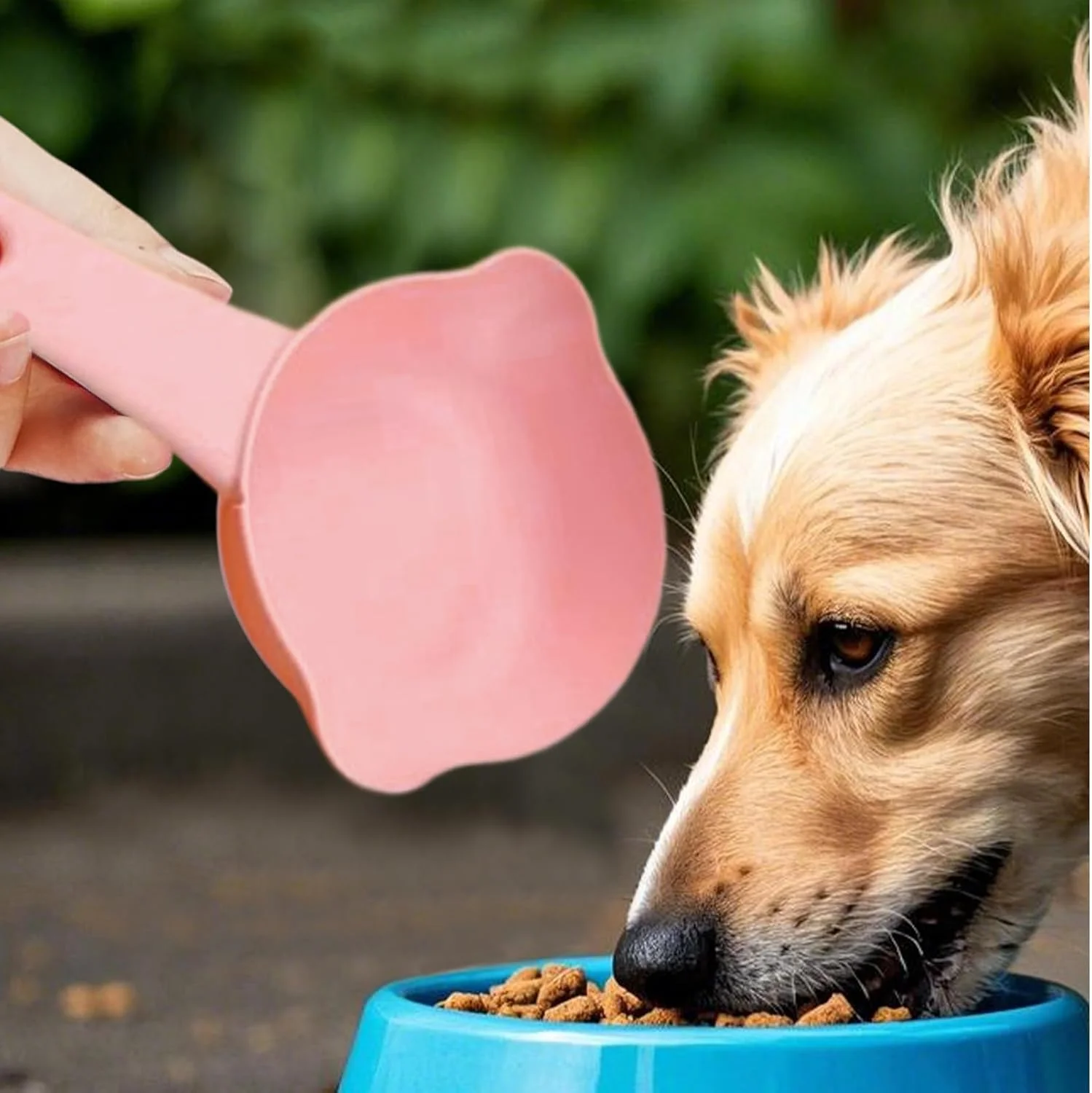 پیمانه غذای سگ - پیمانه آرد قابل تنظیم و زیبا با قابلیت ضد ریزش - لوازم غذا و آب گربه برای توله سگ، غذای خشک، خاک بستر، غلات