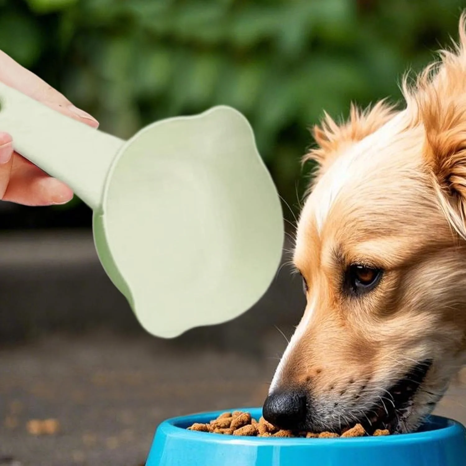 پیمانه غذای سگ 1 پیمانه - پیمانه غذای سگ 1 پیمانه راحت و قابل تنظیم ضد ریزش - لوازم تغذیه و آب گربه برای توله سگ، خشک، خاک گربه، غلات