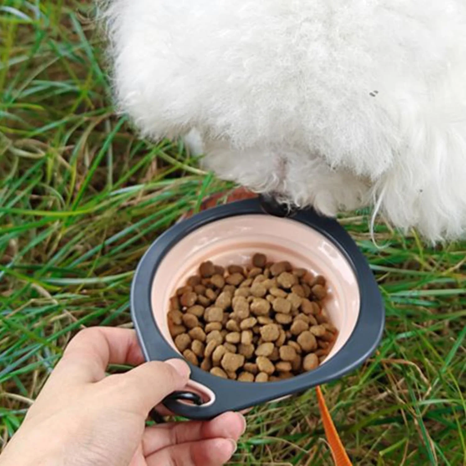 کاسه تاشو سگ - ظرف تاشو آب قابل حمل | ظرف غذا دهی حیوانات خانگی با گیره کارابین، ظرف آبخوری برای پیاده روی، کمپینگ و گردش با حیوانات خانگی