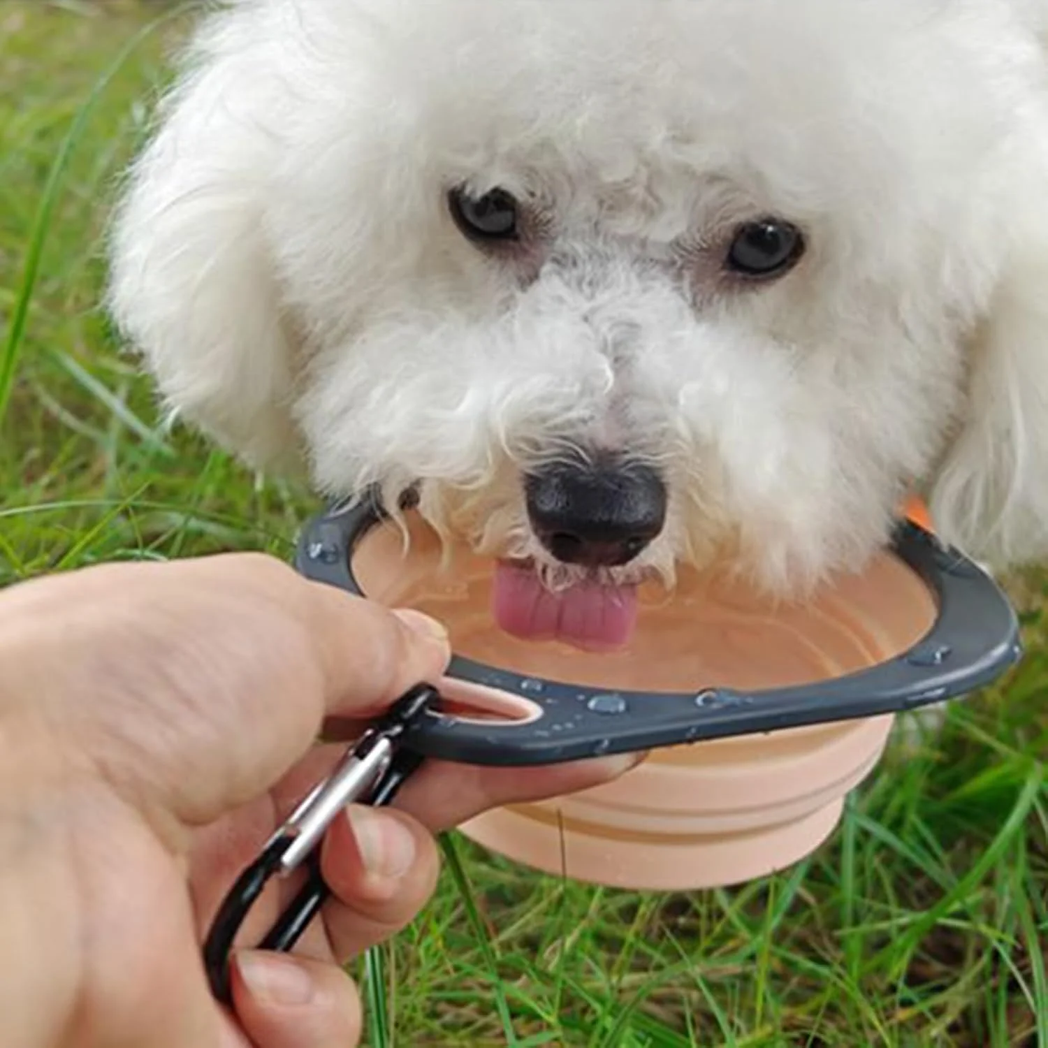 کاسه تاشو سگ - ظرف تاشو آب قابل حمل | ظرف غذا دهی حیوانات خانگی با گیره کارابین، ظرف آبخوری برای پیاده روی، کمپینگ و گردش با حیوانات خانگی