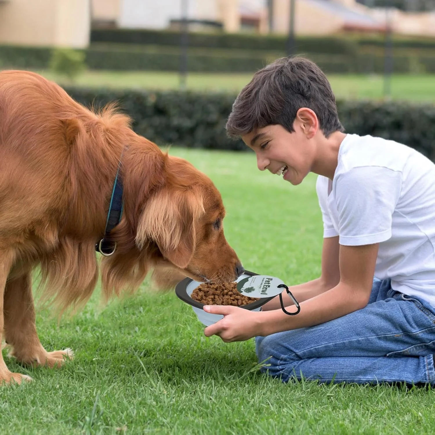 کاسه آب تاشو سگ، کاسه های قابل حمل سگ برای مسافرت، ظرف غذا با گیره کارابین، لوازم تغذیه برای پیاده روی و مسافرت در فضای باز