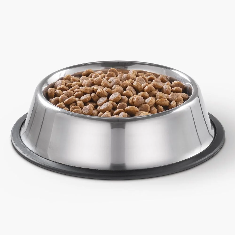 ظرف غذای استیل ضد زنگ سگ خانگی هوم باکس - 2.5 لیتر نقره ای