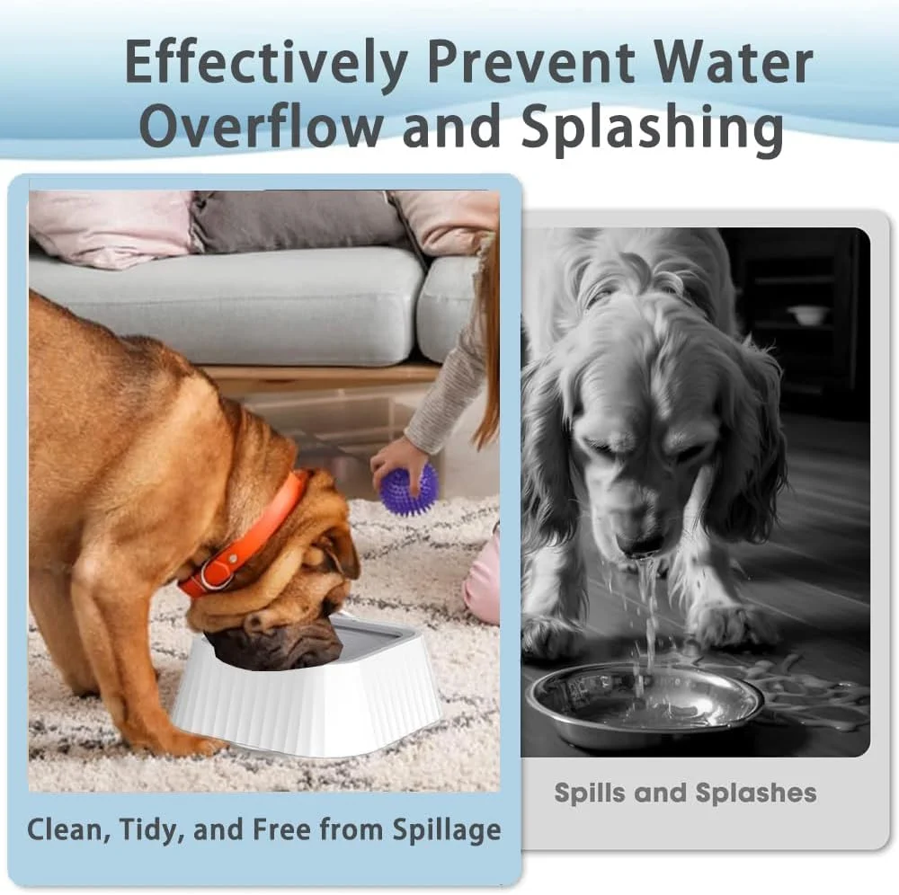 ظرف آب سگ NeoStyle، ظرف آبخوری آهسته 1.3 لیتری، مناسب برای استفاده در محیط های داخلی و خارجی (سبز) ظرف آب سگ NeoStyle، ظرف آبخوری آهسته 1.3 لیتری، مناسب برای استفاده در محیط های داخلی و خارجی (سبز)