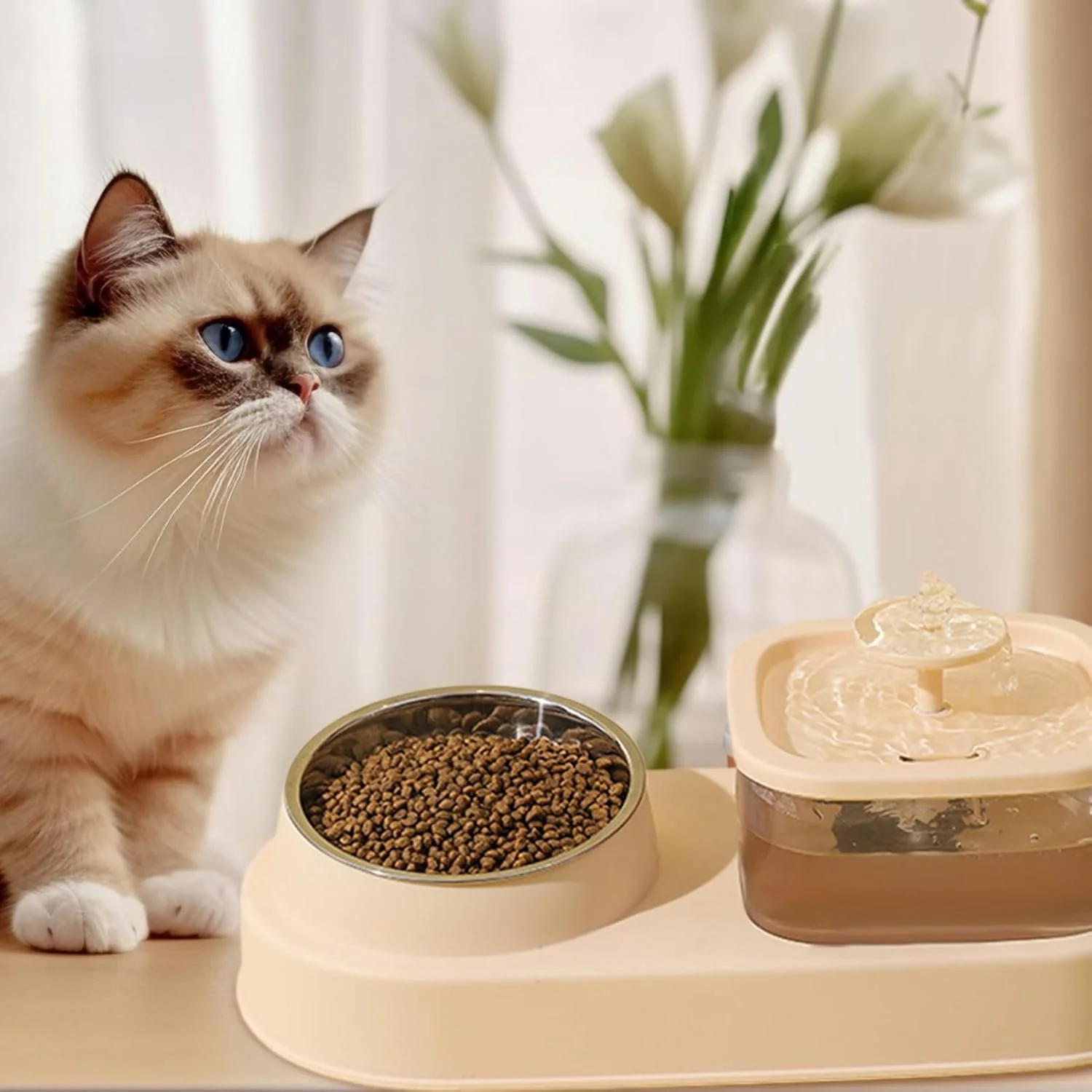 ظرف غذای گربه | ظرف غذای بدون ریزش گربه، لوازم حیوانات خانگی برای ذخیره آب و نوشیدنی روزانه بچه گربه و توله سگ مناسب برای خانواده هایی با چند حیوان خانگی ظرف غذای گربه | ظرف غذای بدون ریزش گربه، لوازم حیوانات خانگی برای ذخیره آب و نوشیدنی روزانه بچه گربه و توله سگ مناسب برای خانواده هایی با چند حیوان خانگی