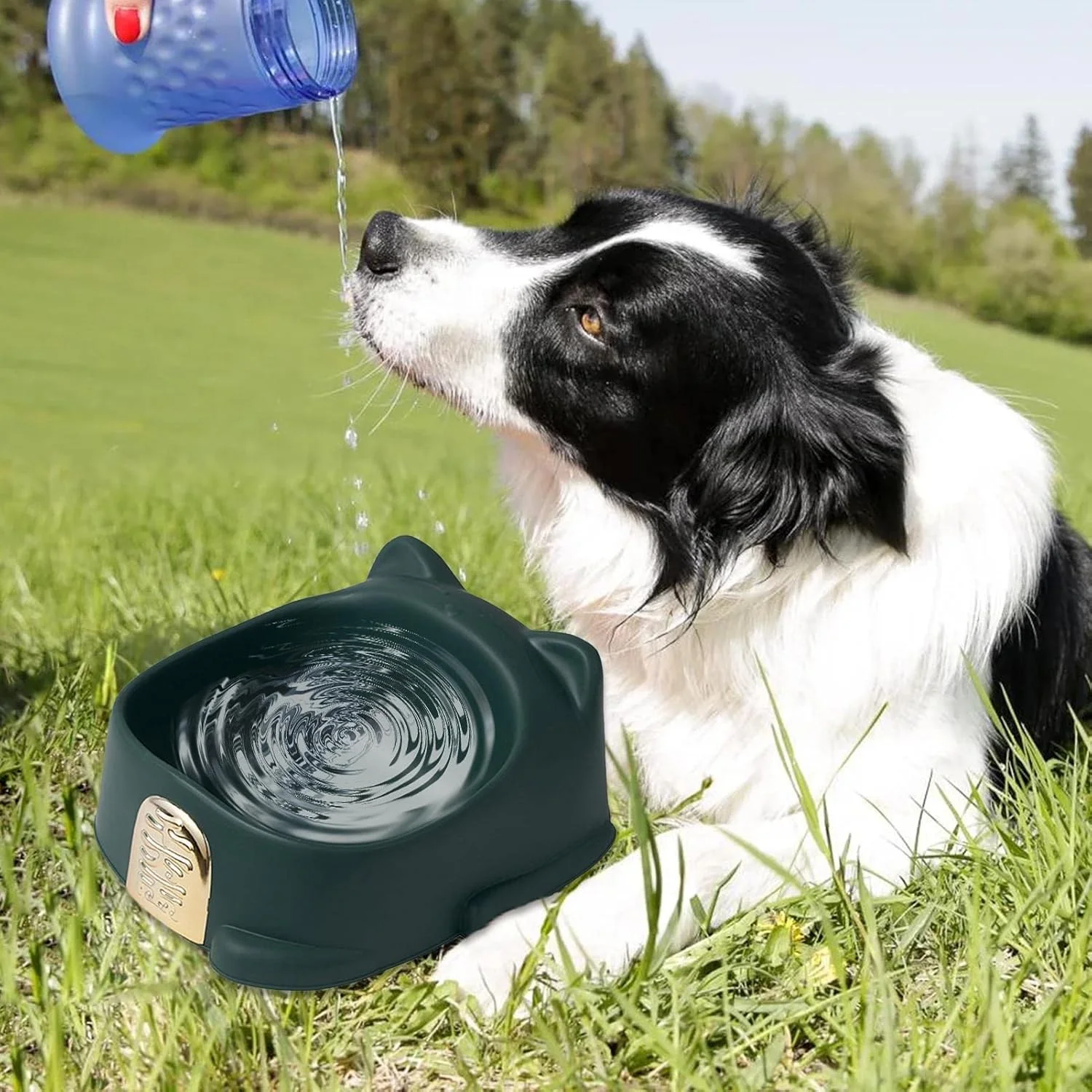 کاسه غذای بچه گربه، ظرف غذای حیوانات خانگی گربه خوش شانس | کاسه های غذای حیوانات خانگی ضد لغزش، ظرف کم عمق سگ، لوازم بچه گربه، تغذیه توله سگ و لوازم آبیاری