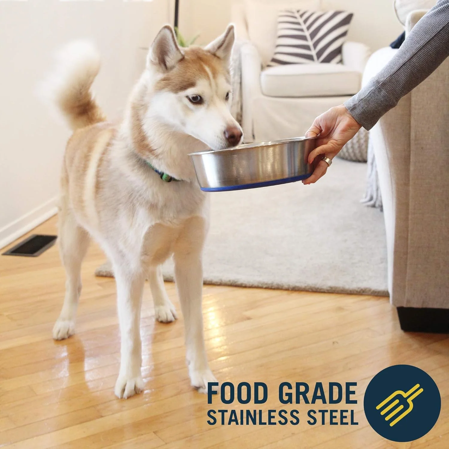 کاسه استیل ضد زنگ ممتاز دوراپت مخصوص غذای سگ، قابل شستشو در ماشین ظرفشویی [سایزهای مختلف برای سگ های کوچک تا بزرگ] خیلی بزرگ (۱۱ پیمانه)