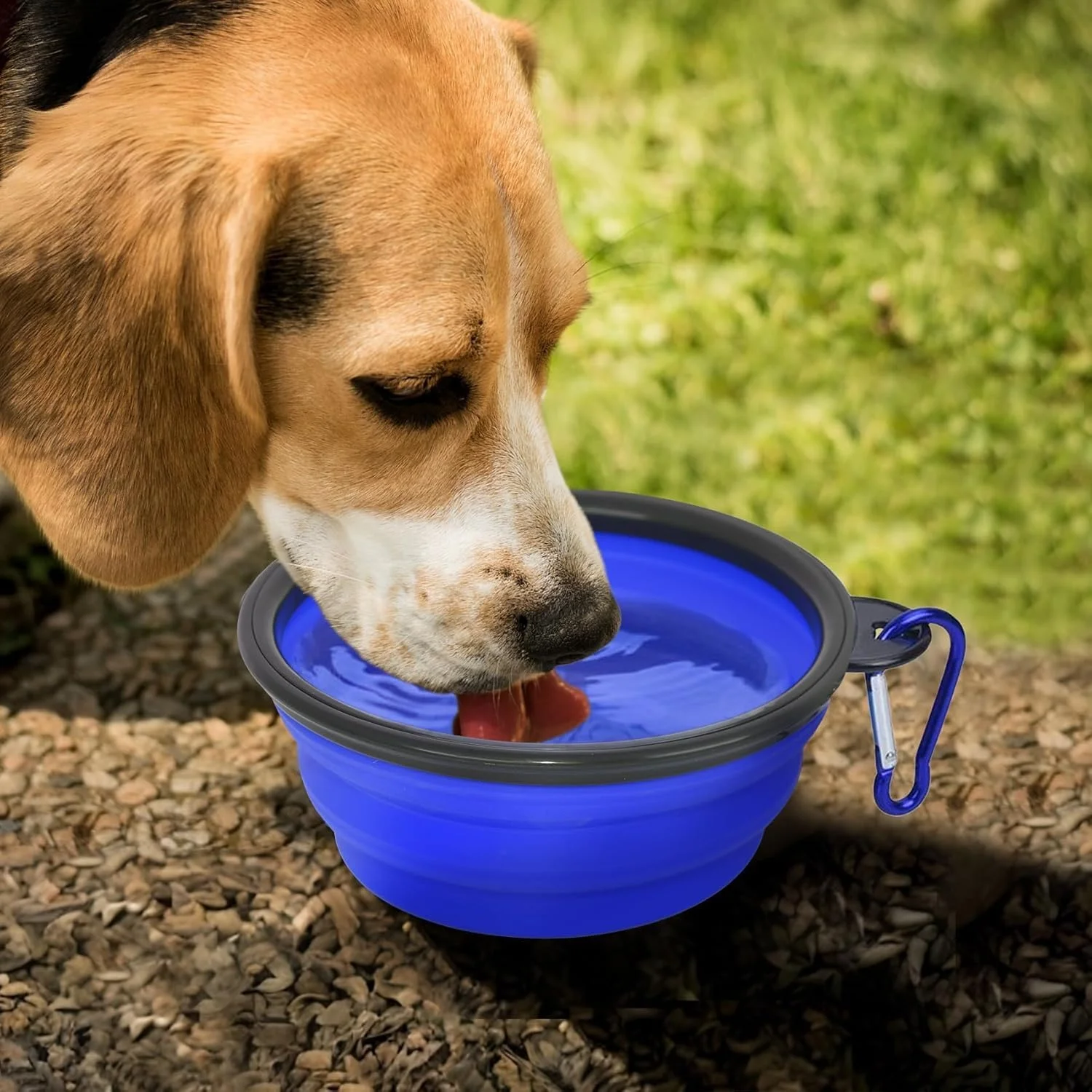 یک عدد کاسه غذای حیوانات خانگی، کاسه تاشو سیلیکونی قابل حمل، مناسب برای گربه ها و سگ ها، دارای 1 سگک کوهنوردی، مناسب برای مسافرت، کمپینگ و پیاده روی (آبی) یک عدد کاسه غذای حیوانات خانگی، کاسه تاشو سیلیکونی قابل حمل، مناسب برای گربه ها و سگ ها، دارای 1 سگک کوهنوردی، مناسب برای مسافرت، کمپینگ و پیاده روی (آبی)