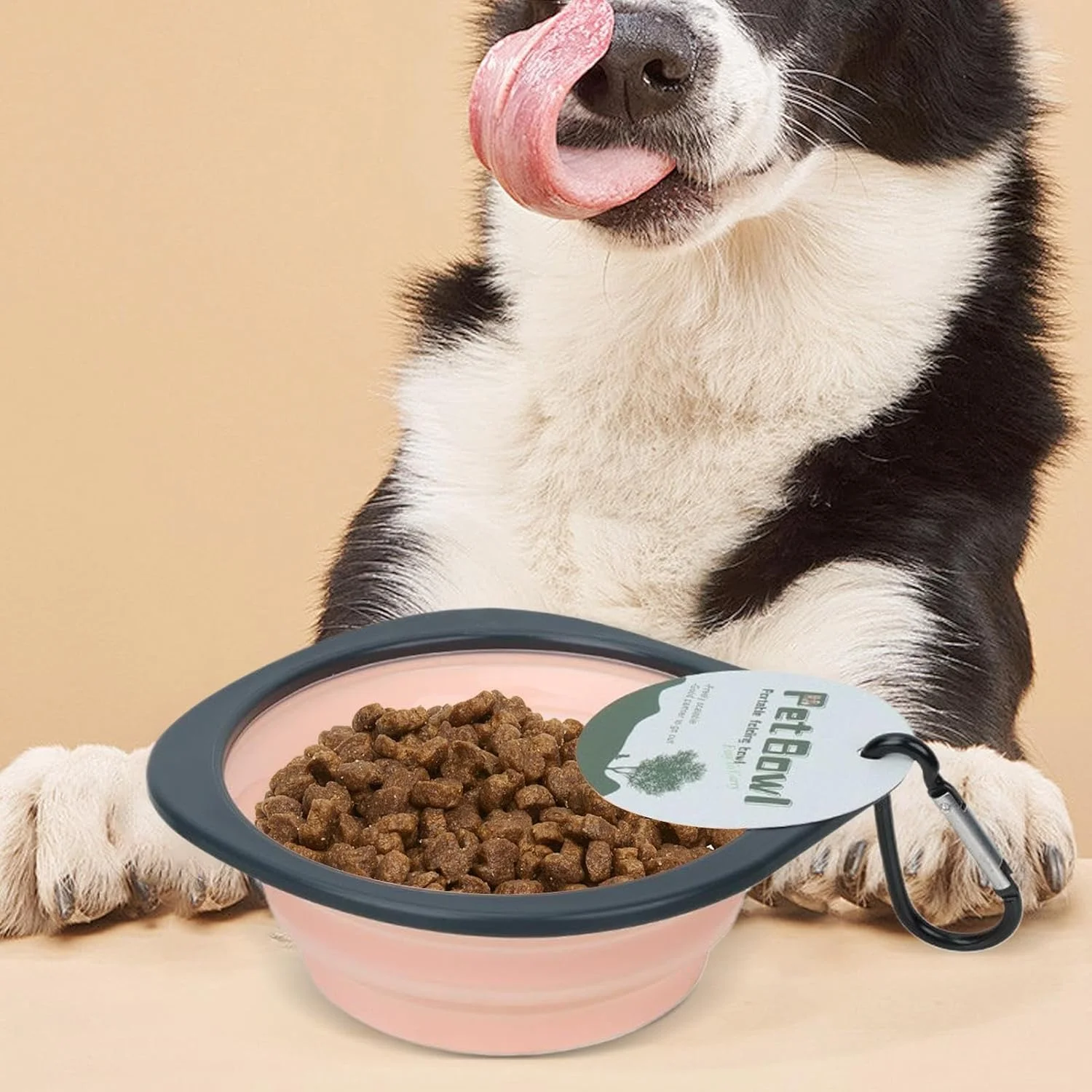 کاسه تاشو سگ، کاسه های قابل حمل سگ برای مسافرت، ظرف غذا دهی حیوانات خانگی با گیره کارابین، ظرف آبخوری برای پیاده روی و کمپینگ حیوانات خانگی کاسه تاشو سگ، کاسه های قابل حمل سگ برای مسافرت، ظرف غذا دهی حیوانات خانگی با گیره کارابین، ظرف آبخوری برای پیاده روی و کمپینگ حیوانات خانگی