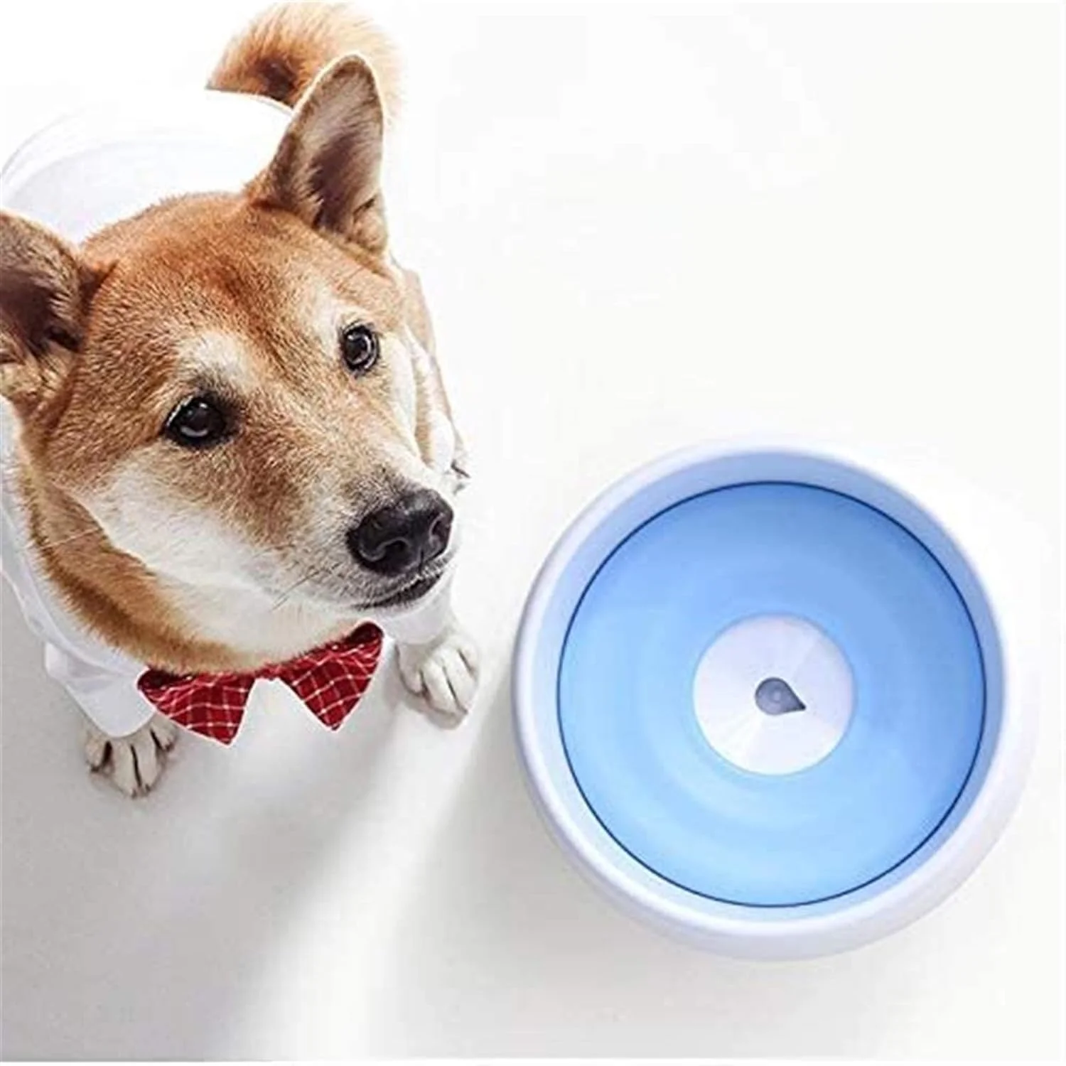 آبخوری حیوانات خانگی، ظرف آب سگ، کاسه نوشیدنی سگ، ضد واژگونی، لوازم حیوانات خانگی گربه