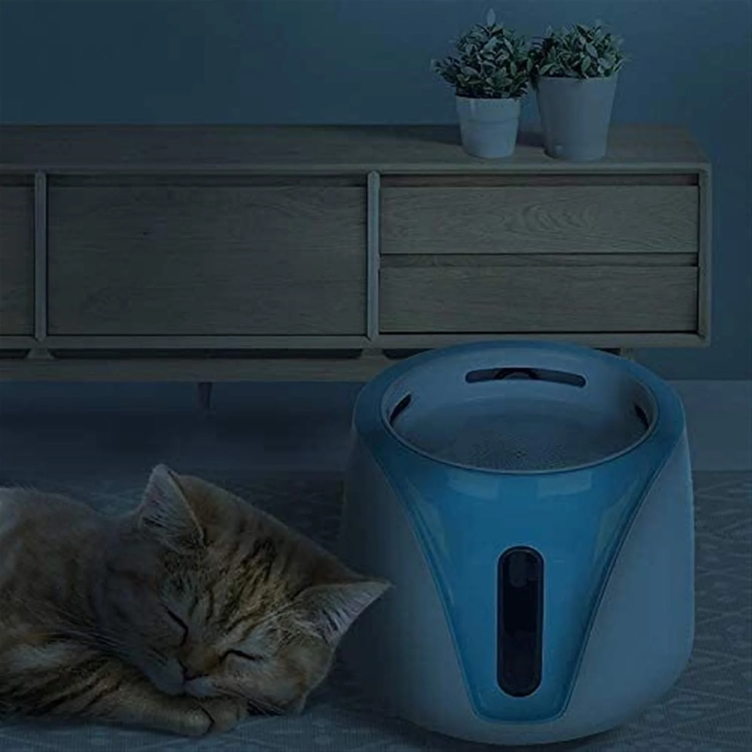 Pet Fountain, Pet supplies cat electric water dispenser automatic water bowl dog water dispenser water dispenser drinking water basin pure (Color : Gray)