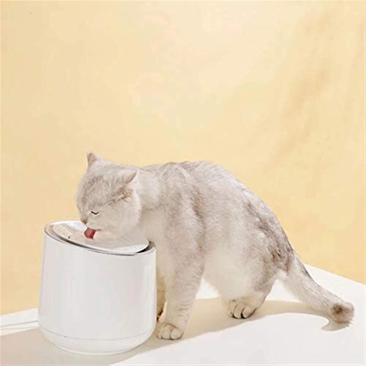 آبخوری هوشمند حیوانات خانگی، دستگاه آبخوری سیار سگ با دمای ثابت هوشمند