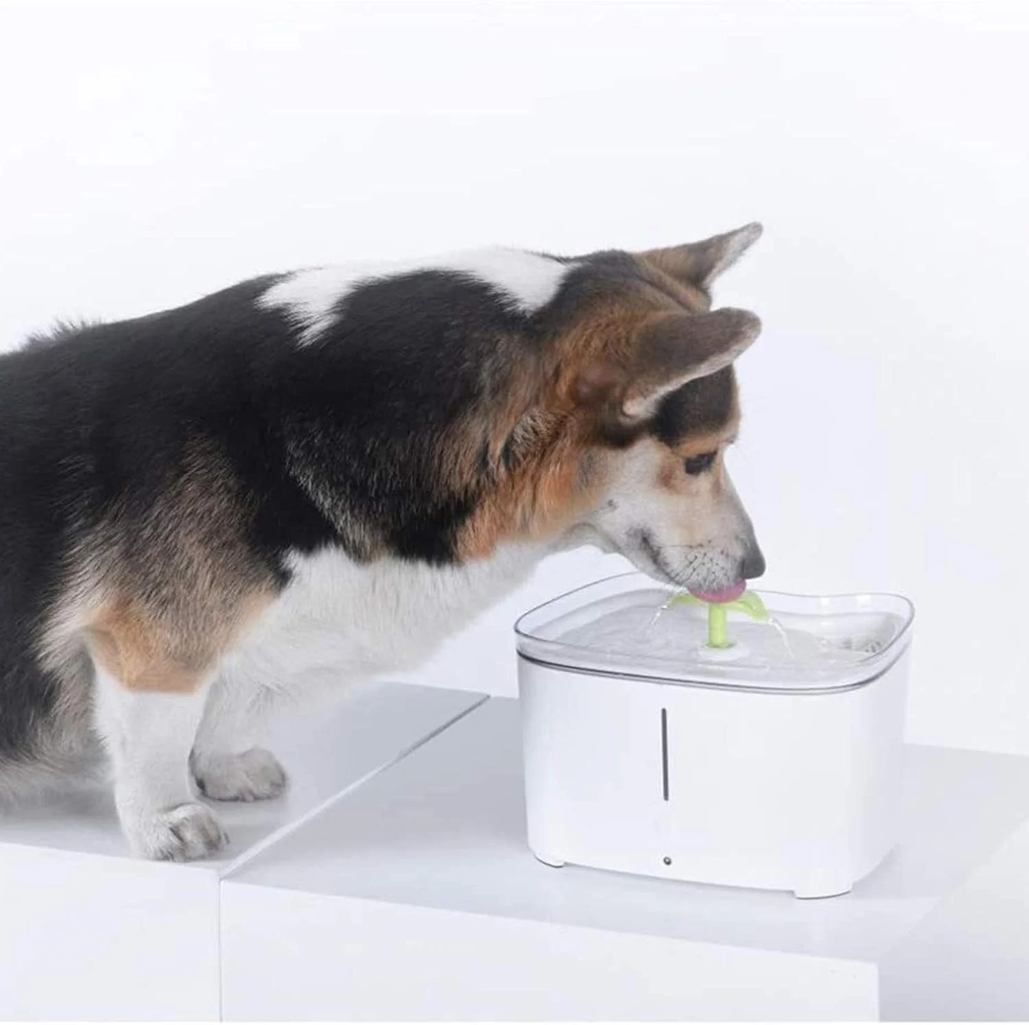آبخوری هوشمند حیوانات خانگی، آبخوری چرخشی اتوماتیک گربه و سگ، تغذیه بی صدا