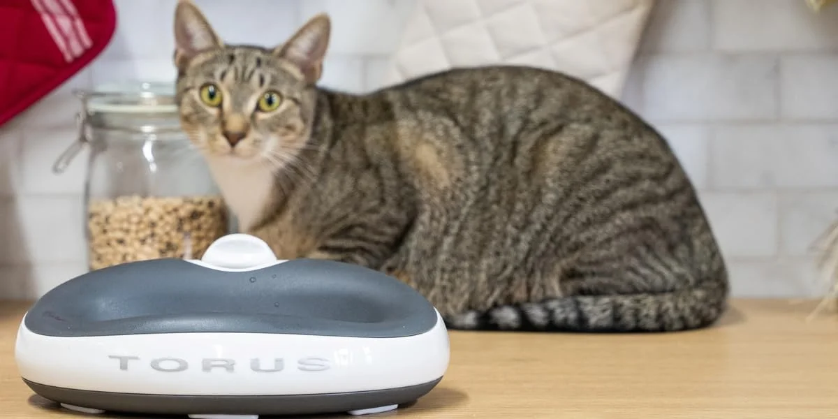 ظرف آب ۱ لیتری، زغالی