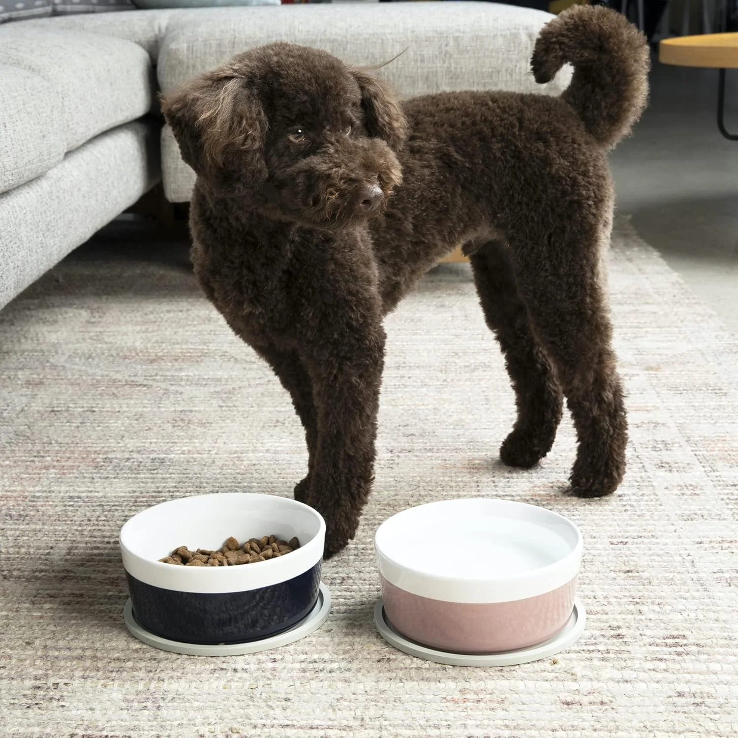 زیرانداز سیلیکونی سگ Waggo Habit برای نژادهای کوچک، متوسط و بزرگ - زیرانداز مدرن و سنگین سیلیکونی سگ، قابل شستشو در ماشین ظرفشویی، زیرانداز یک تکه - مجموعه 2 عددی (متوسط، مشکی) زیرانداز سیلیکونی سگ Waggo Habit برای نژادهای کوچک، متوسط و بزرگ - زیرانداز مدرن و سنگین سیلیکونی سگ، قابل شستشو در ماشین ظرفشویی، زیرانداز یک تکه - مجموعه 2 عددی (متوسط، مشکی)