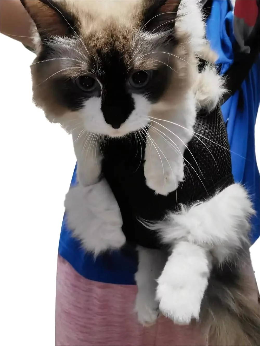 کیف حمل حیوانات خانگی کوچک زردآلویی، کوله پشتی قابل تنظیم سگ و گربه آزون برای مسافرت، پیاده روی، کمپینگ - کوله پشتی سبک وزن بدون دست برای حیوانات خانگی تا 3.6 کیلوگرم، طول پشت 25 سانتی متر، دور سینه 40 سانتی متر کیف حمل حیوانات خانگی کوچک زردآلویی، کوله پشتی قابل تنظیم سگ و گربه آزون برای مسافرت، پیاده روی، کمپینگ - کوله پشتی سبک وزن بدون دست برای حیوانات خانگی تا 3.6 کیلوگرم، طول پشت 25 سانتی متر، دور سینه 40 سانتی متر