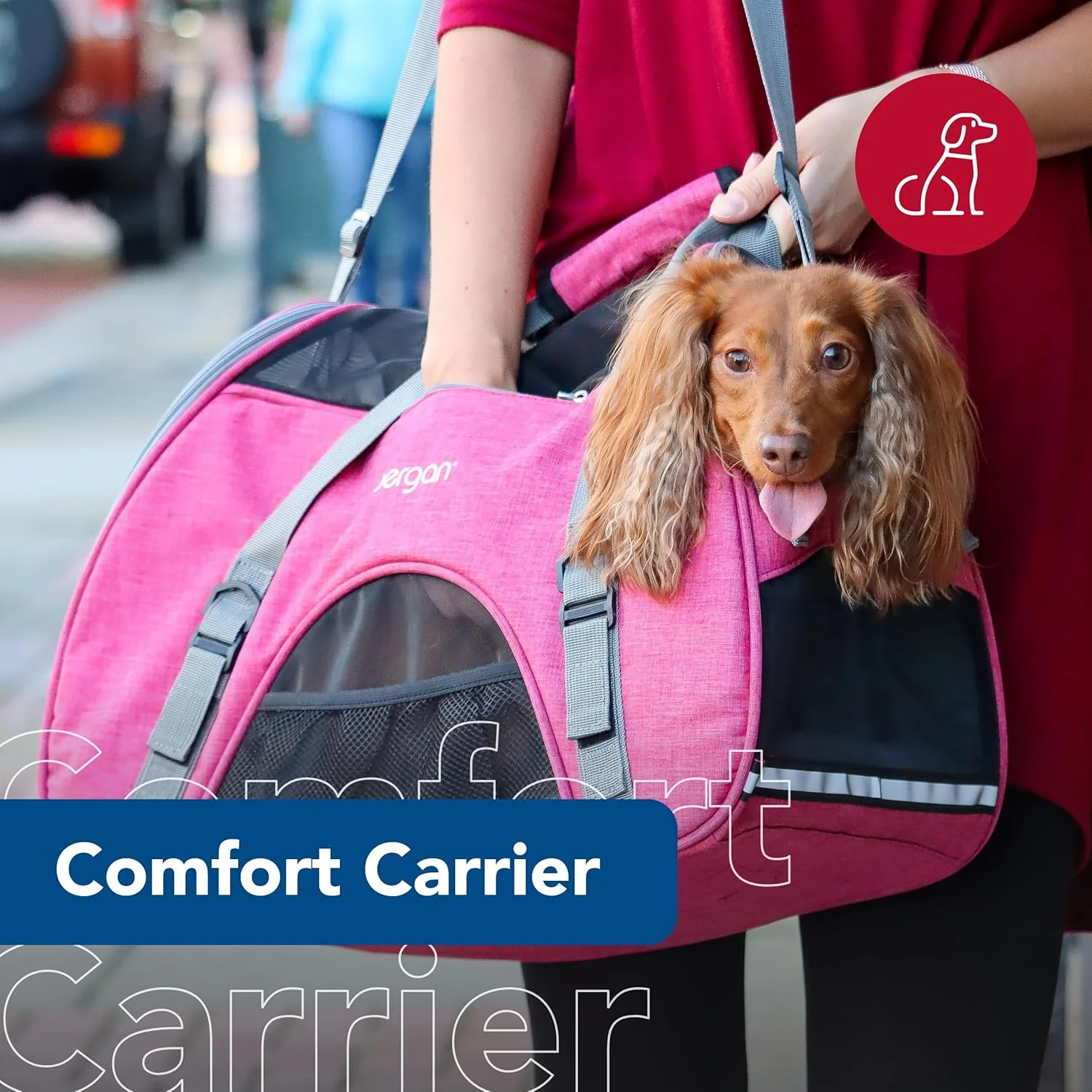 کیف حمل حیوانات خانگی ساحلی برگن - ایمن و راحت برای سفر سگ و گربه - کیف نرم و تنفسی مناسب برای صاحبان حیوانات خانگی - Heather Berry، 16" x 8" x 11"