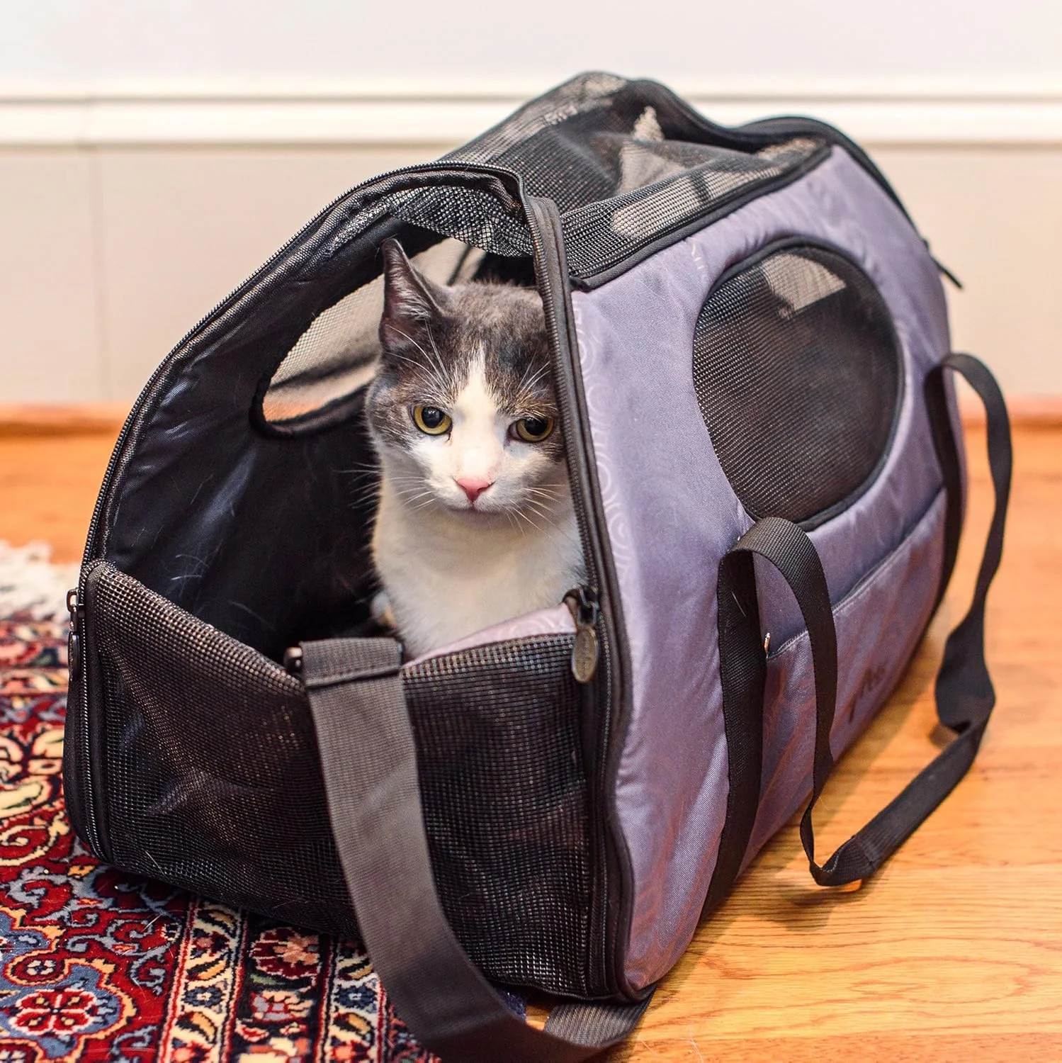 کیف حمل حیوانات خانگی Gen7Pets برای سگ ها و گربه ها - حمل آسان، دارای جای قمقمه آب، جیب زیپ دار و مناسب برای زیر اکثر صندلی های هواپیما