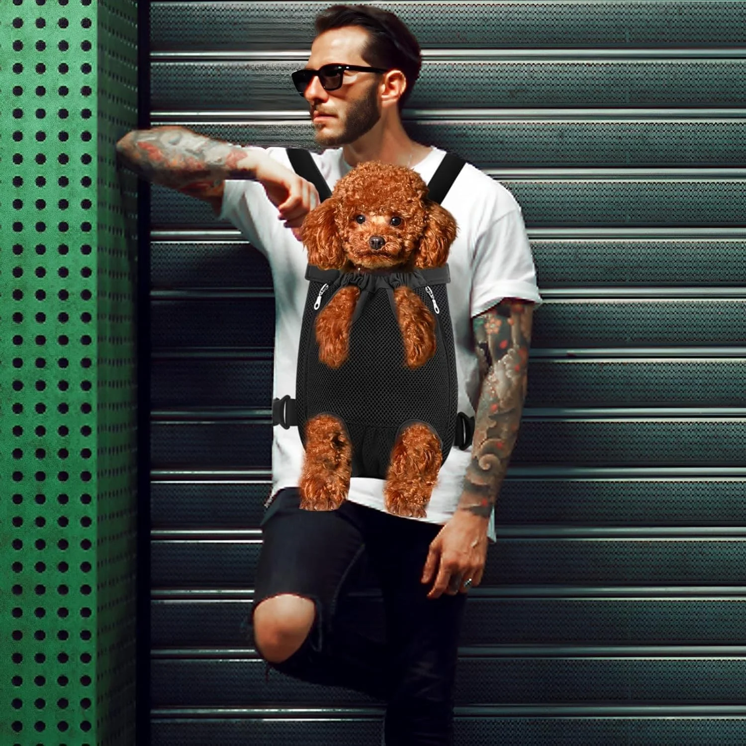 کیف حمل حیوانات خانگی خزنا، مناسب گربه و سگ کوچک، رو به جلو، توری تنفسی، سبک و قابل حمل، مناسب پیاده روی، دوچرخه سواری و کمپینگ، مشکی، سایز M (30 سانتی متر طول x 20 سانتی متر عرض x 34 سانتی متر ارتفاع)، 2.5-3.5 کیلوگرم