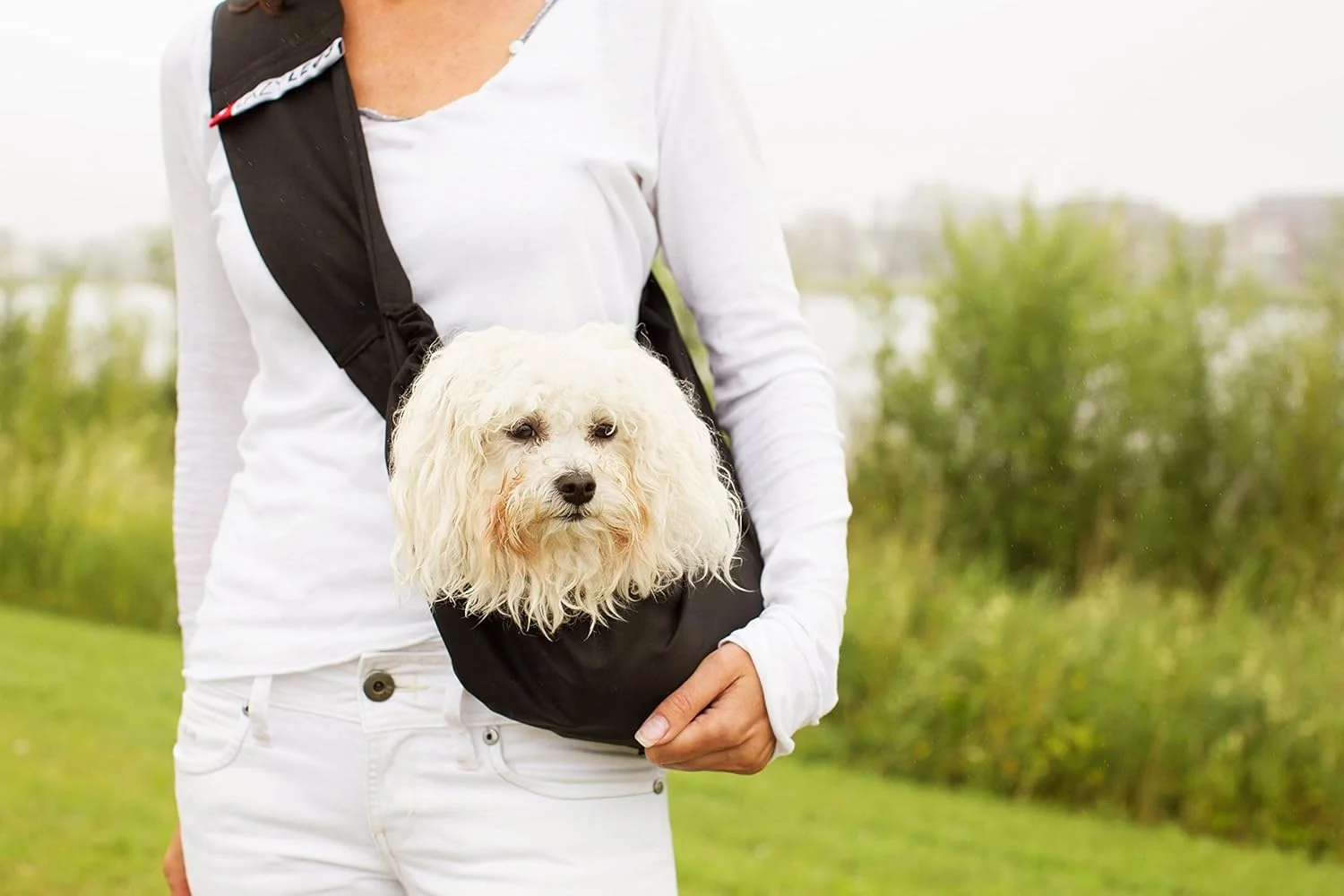 کیف حمل حیوانات خانگی پایه، مشکی