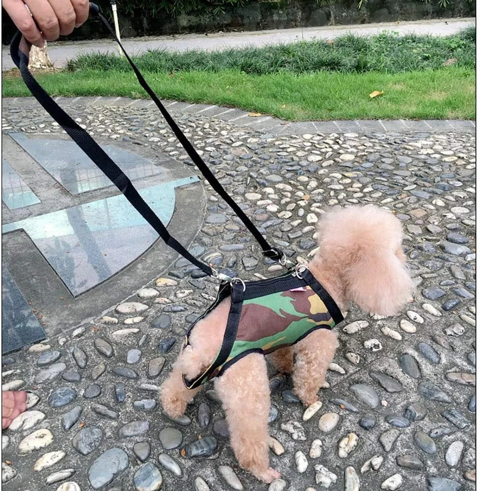 کیف حمل سگ و گربه با طراحی سر و پا بیرون، دارای پنج سوراخ، مناسب برای سفرهای کوچک، کوله پشتی و بند حمایتی