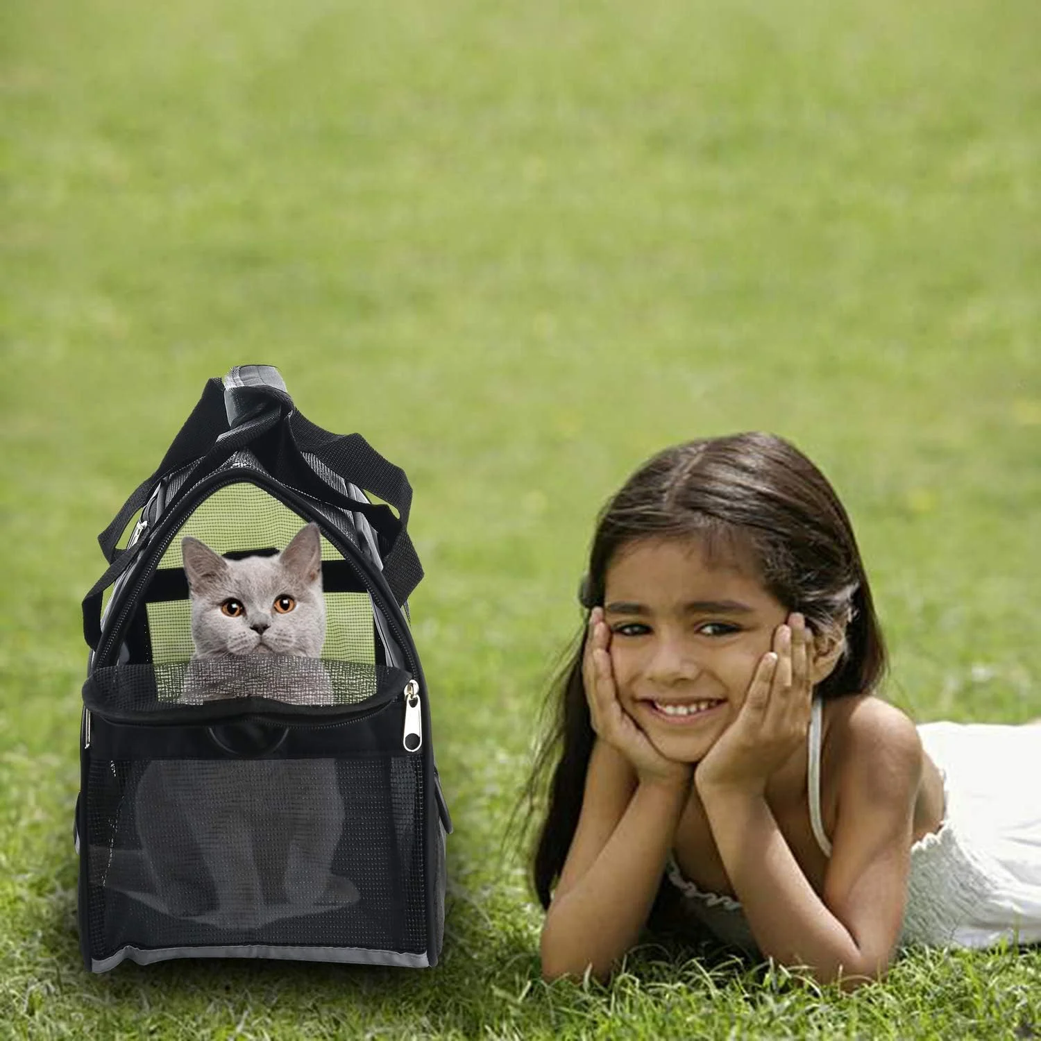 کیف حمل حیوانات خانگی با دیواره نرم برای گربه های کوچک و متوسط، توله سگ ها، کیف مسافرتی سگ، کیف تاشو قابل حمل و راحت برای حیوانات خانگی، مورد تایید خطوط هوایی (سایز متوسط مشکی)