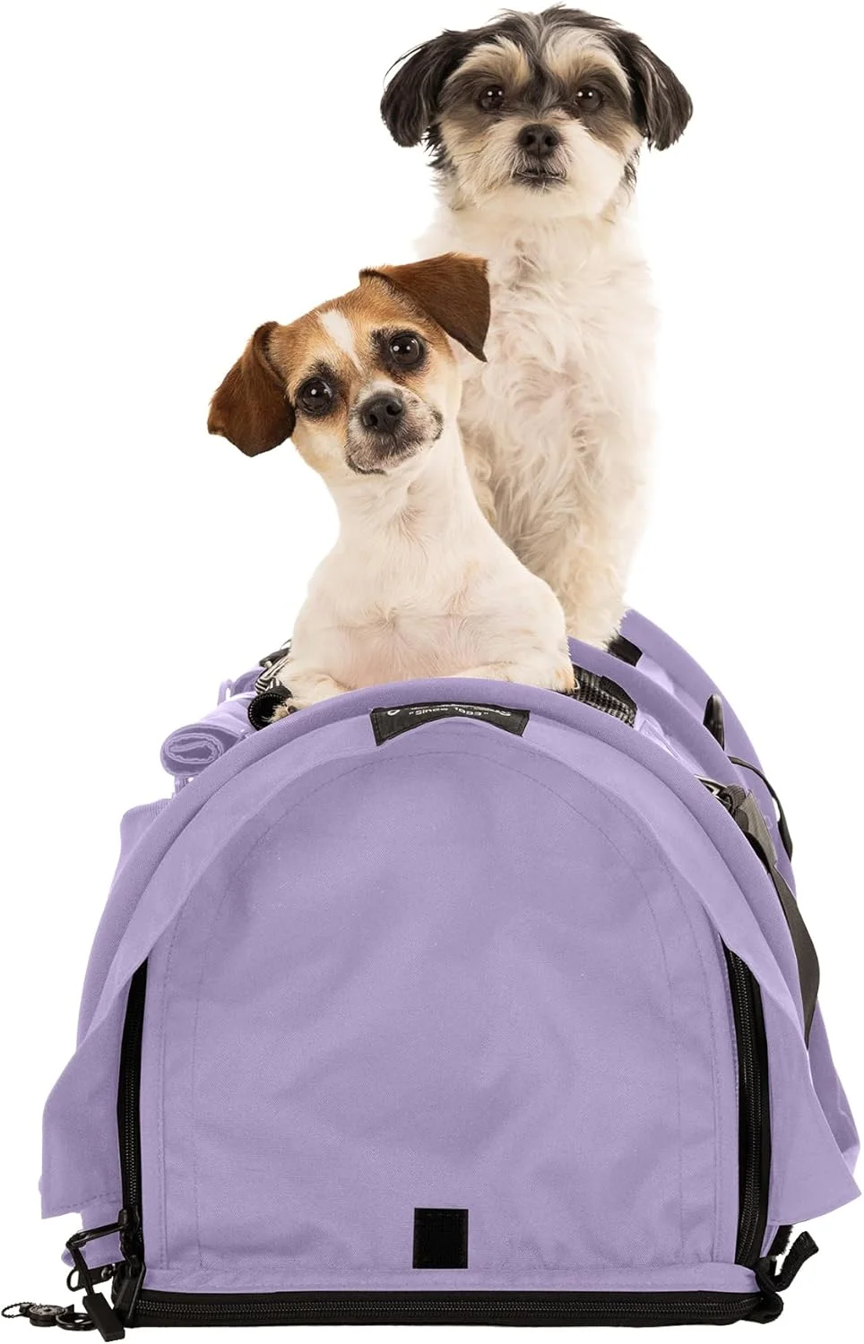 کیف حمل حیوانات خانگی استردی‌بگ پرو 2.0 با ارتفاع قابل تنظیم برای گربه‌ها و سگ‌ها | کیف حمل نرم با گیره‌های ایمنی و بند کمربند ایمنی برای سفر با هواپیما یا ماشین | بزرگ، یاسی