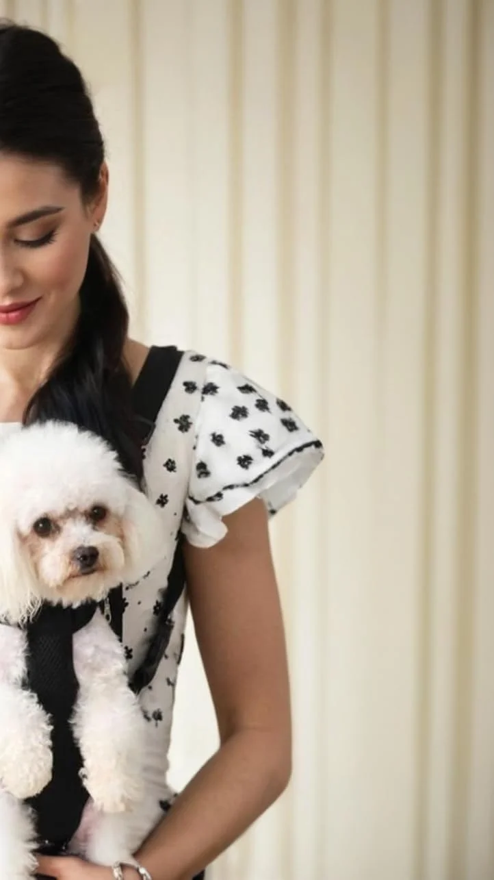 کیف کوله پشتی حمل حیوانات خانگی سوییت سون - کوله پشتی قابل تنظیم سگ و گربه برای پیاده روی، مسافرت، کوهنوردی، کمپینگ - طراحی بیرون پا (L)