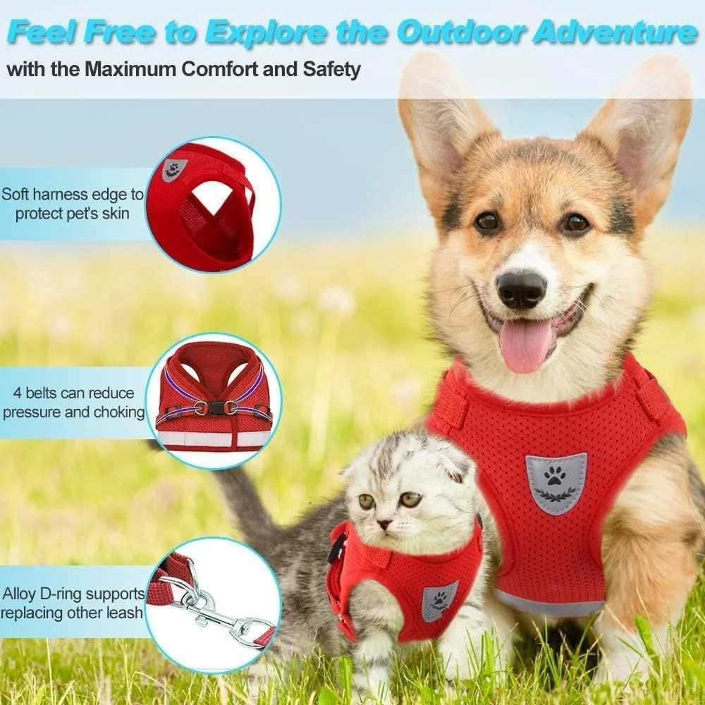 هارنس سگ و گربه مامو بیر، جلیقه نرم مشبک با پد، بدون کشیدن، به همراه بند قلاده با نوار و لوگوی بازتابنده، مناسب برای پیاده روی روزانه، دویدن و آموزش - (قرمز، M) هارنس سگ و گربه مامو بیر، جلیقه نرم مشبک با پد، بدون کشیدن، به همراه بند قلاده با نوار و لوگوی بازتابنده، مناسب برای پیاده روی روزانه، دویدن و آموزش - (قرمز، M)