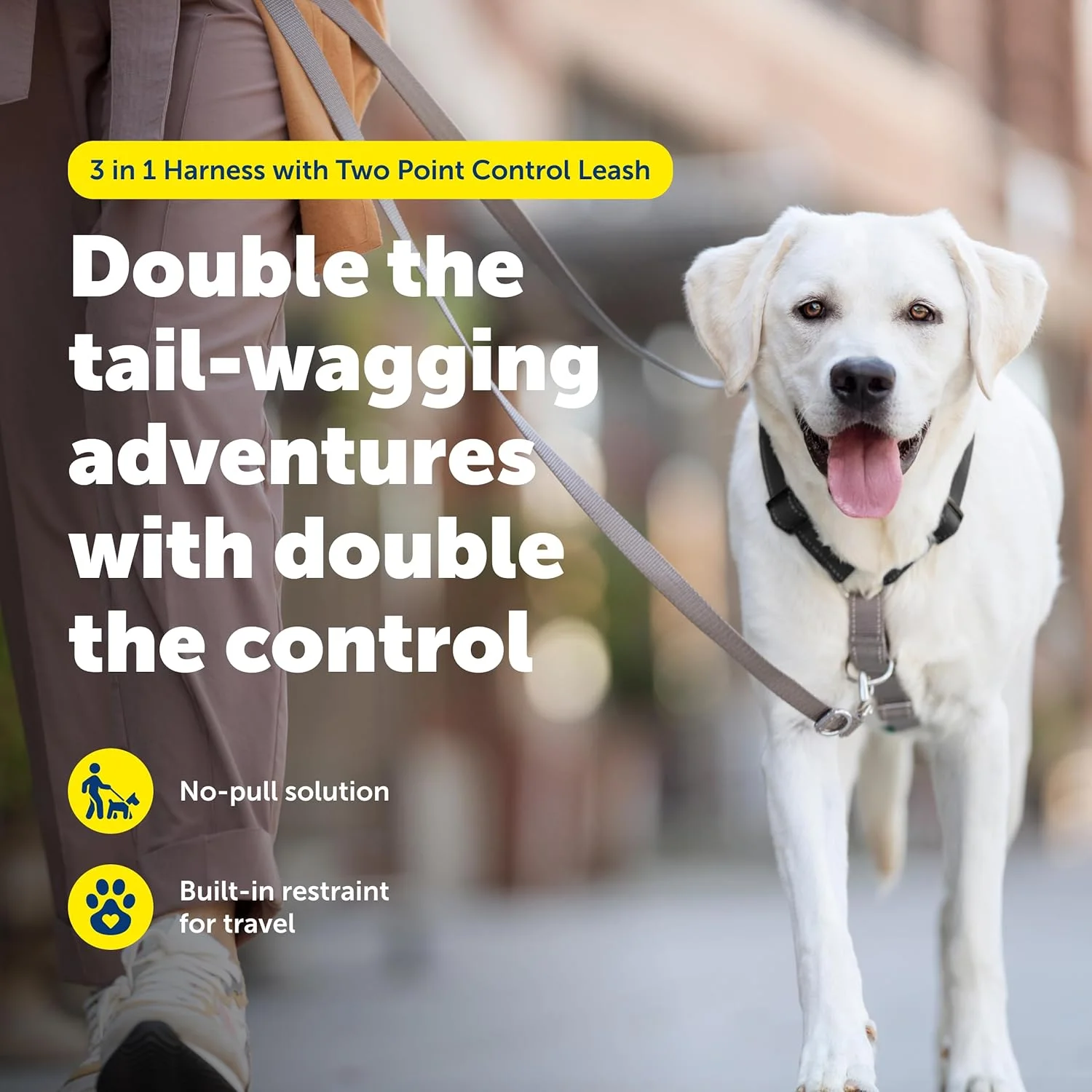 هارنس 3 در 1 پت سیف به همراه قلاده دو نقطه ای - هارنس ضد کشش - سایز کوچک - مشکی - قابل تنظیم هارنس 3 در 1 پت سیف به همراه قلاده دو نقطه ای - هارنس ضد کشش - سایز کوچک - مشکی - قابل تنظیم