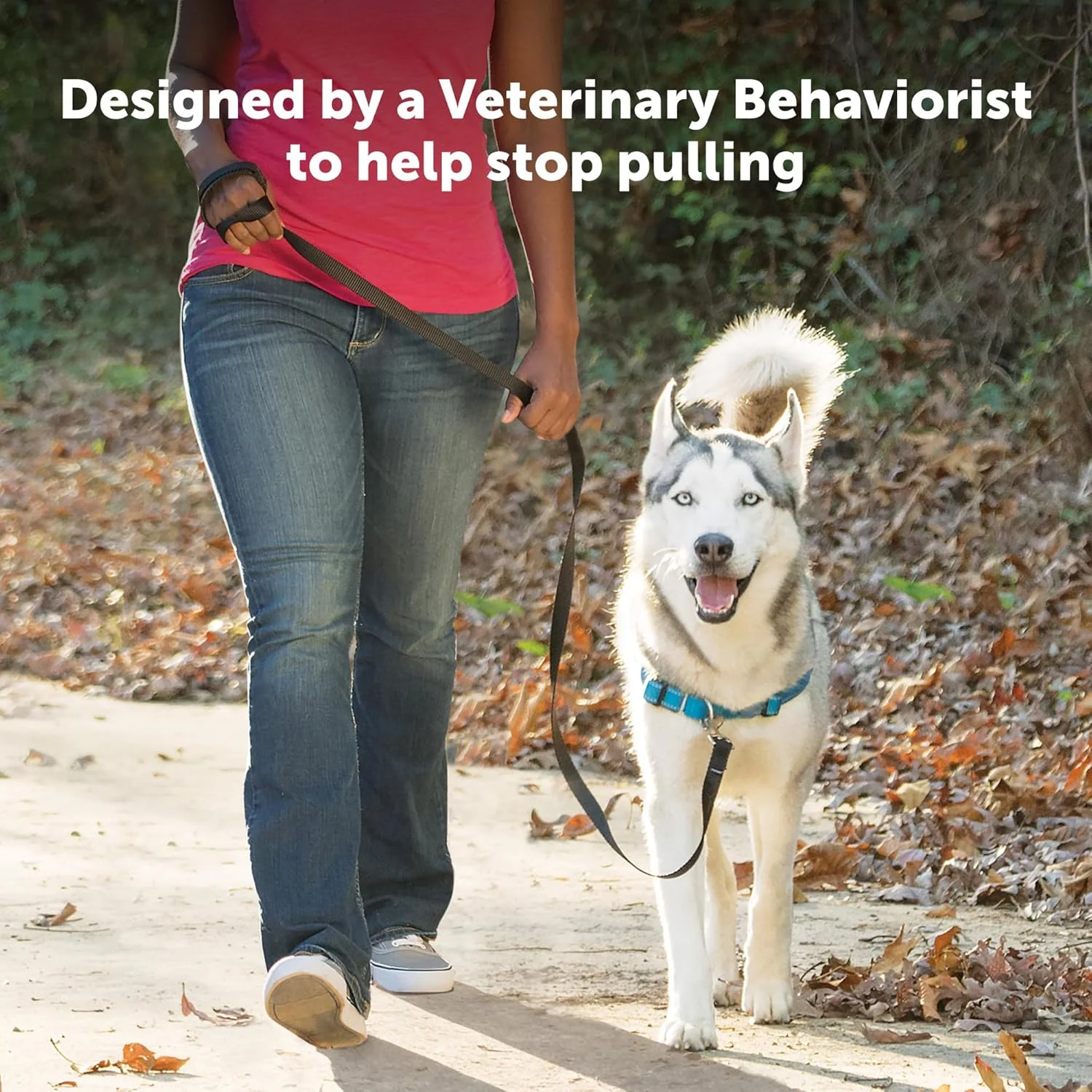 هارنس سگ PetSafe مدل Easy Walk Deluxe، هارنس بدون کشیدن سگ - ایده آل برای آموزش با قلاده و هارنس - جلوگیری از کشیدن و خفه شدن حیوانات خانگی در هنگام پیاده روی - سایز متوسط/بزرگ، استیل