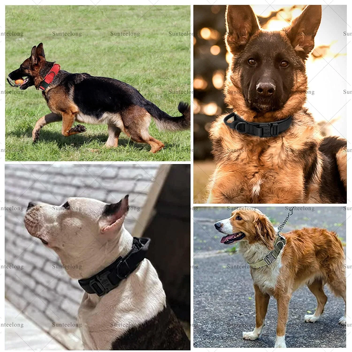 قلاده سگ تاکتیکال قابل تنظیم ELECDON، قلاده نایلونی ضخیم سگ با دستگیره برای آموزش سگ، سگک فلزی بادوام با رهاسازی سریع، قلاده سگ نظامی برای سگ های کوچک، متوسط و بزرگ L قلاده سگ تاکتیکال قابل تنظیم ELECDON، قلاده نایلونی ضخیم سگ با دستگیره برای آموزش سگ، سگک فلزی بادوام با رهاسازی سریع، قلاده سگ نظامی برای سگ های کوچک، متوسط و بزرگ L