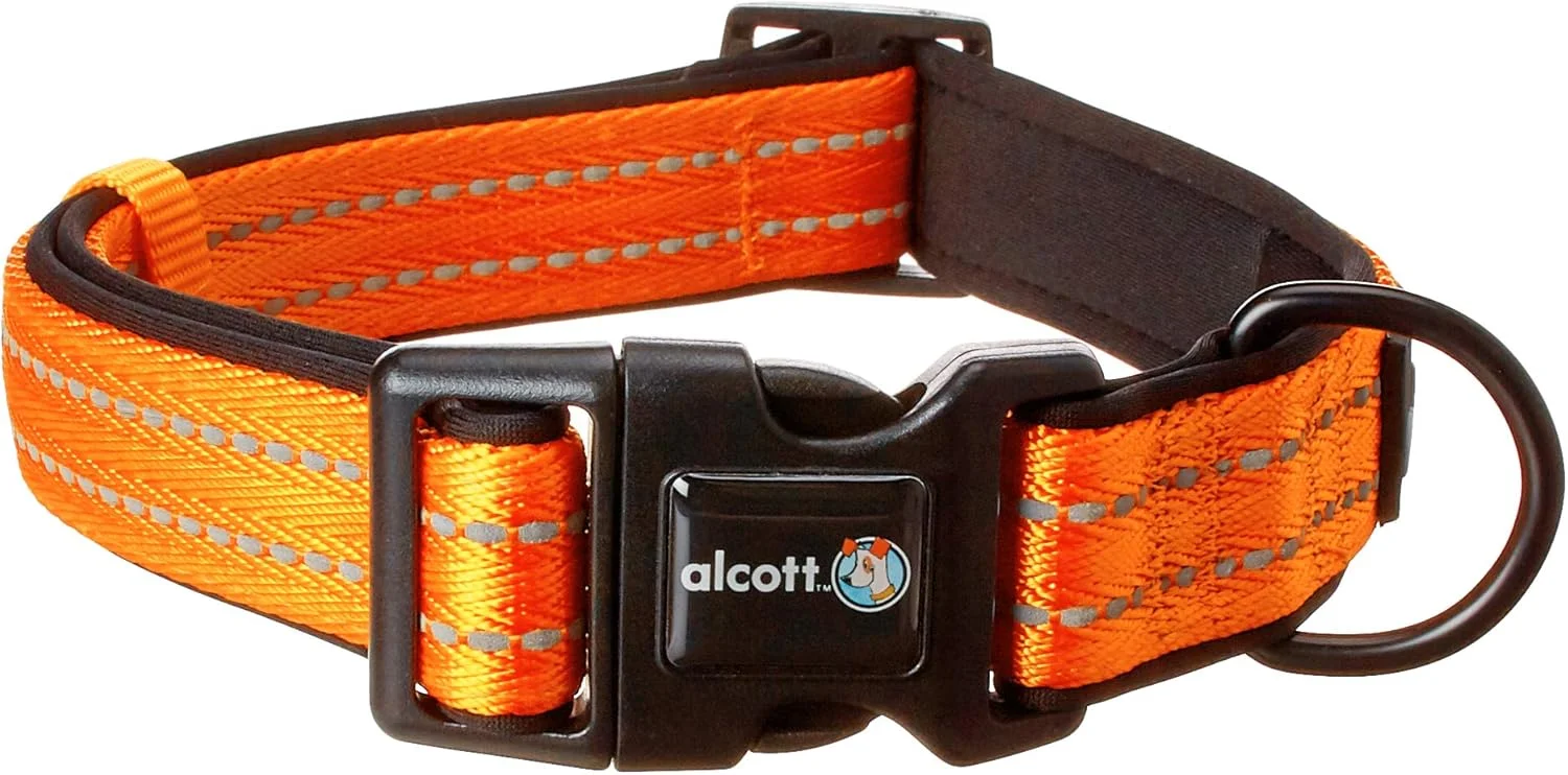 قلاده سگ دید در شب آلکوت با دوخت بازتابنده و لایه نئوپرن، بزرگ، نارنجی نئون