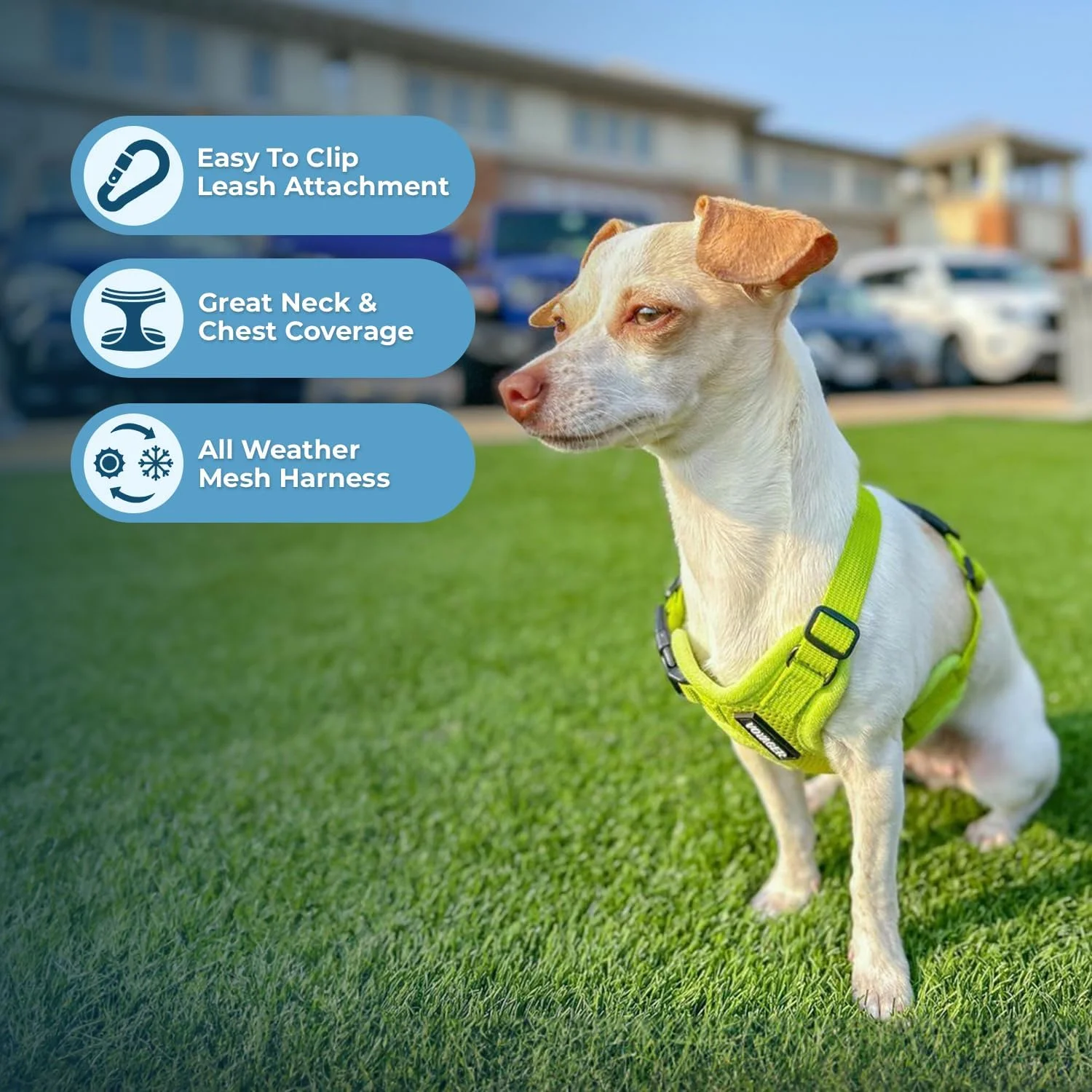 بهترین لوازم حیوانات خانگی، هارنس سگ توری هوا با قابلیت ورود آسان - توری مناسب همه آب و هوا، هارنس با قابلیت ورود آسان برای سگ های کوچک و متوسط - سبز لیمویی (حاشیه همرنگ)، سایز M (دور سینه: 40-45 سانتی متر)