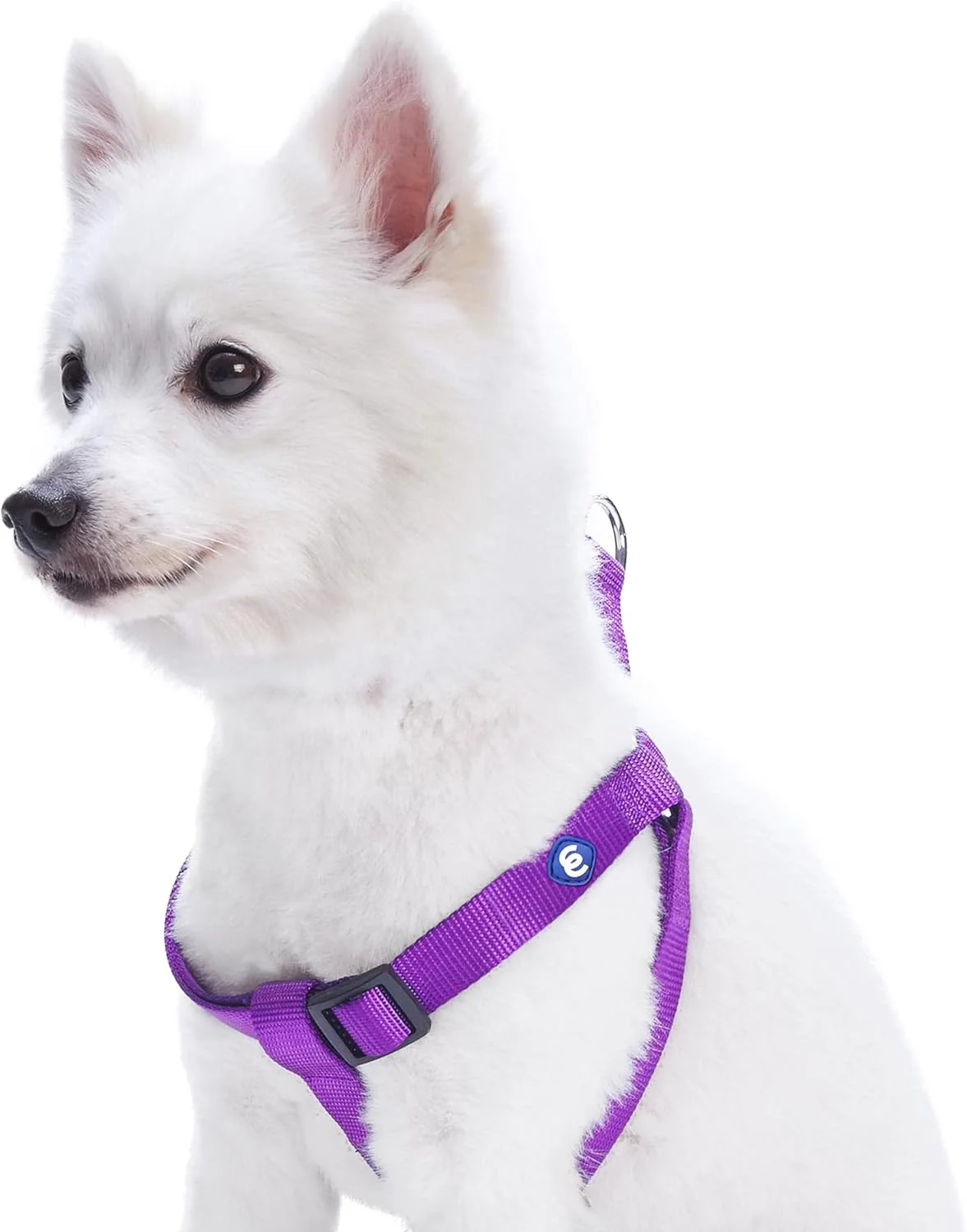 هارنس سگ نایلونی بادوام کلاسیک بلوبری پت، دور سینه 51 تا 66 سانتی متر، ارکیده تیره، متوسط، هارنس قابل تنظیم برای سگ های توله سگ دختر و پسر هارنس سگ نایلونی بادوام کلاسیک بلوبری پت، دور سینه 51 تا 66 سانتی متر، ارکیده تیره، متوسط، هارنس قابل تنظیم برای سگ های توله سگ دختر و پسر