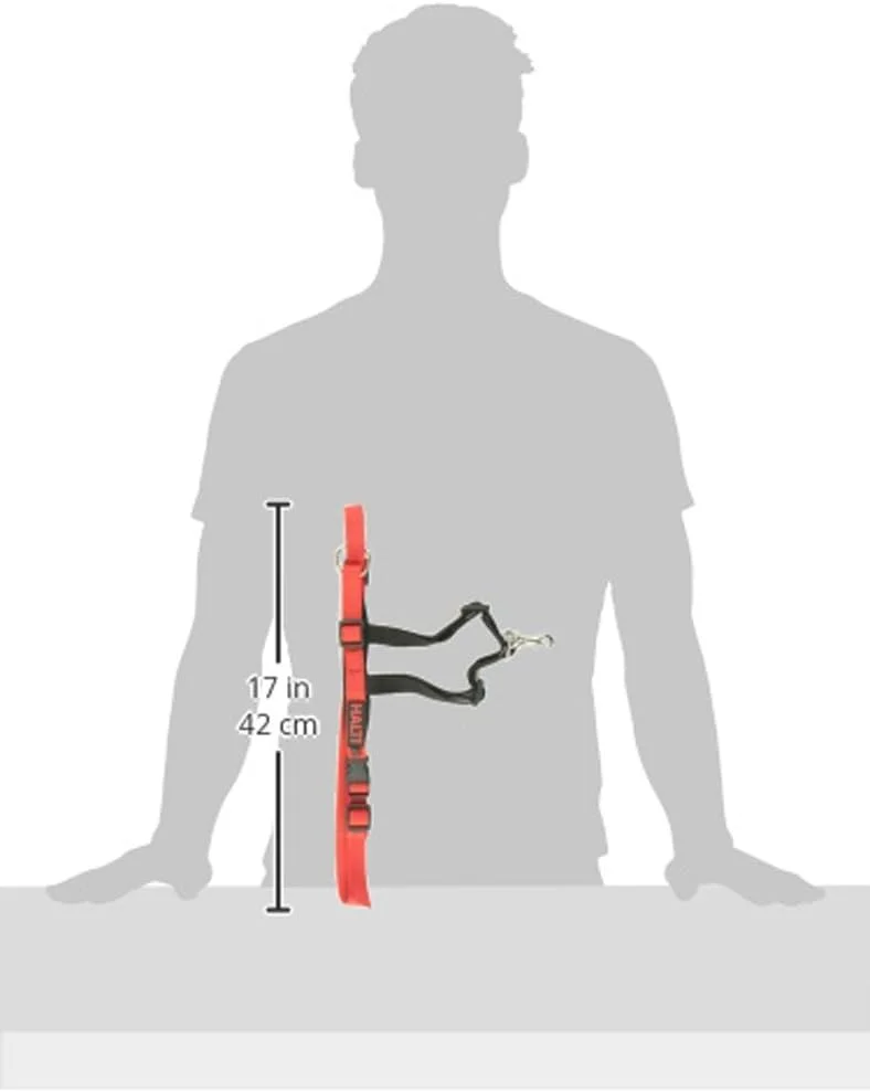 هارنس کنترل جلوی سگ HALTI از Company of Animals - برای جلوگیری از کشیدن قلاده توسط سگ شما. قابل تنظیم، سبک و آسان برای استفاده. هارنس آموزش سگ ضد کشش برای سگ های متوسط (سایز M)