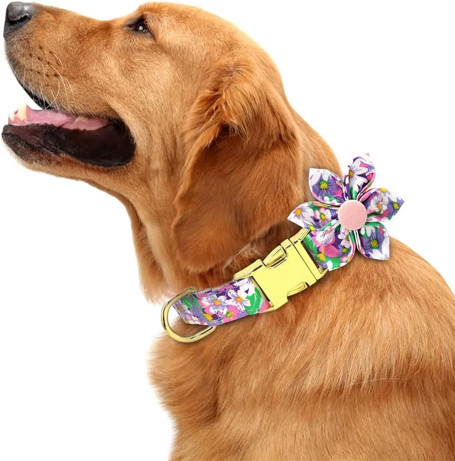 قلاده سگ DALUZ با طرح گلدار برای سگ های ماده، قلاده های سگ قابل تنظیم برای سگ های کوچک، متوسط و بزرگ، قلاده سگ کوچک زیبا برای سگ های ماده با سگک ایمنی فلزی با دوام ممتاز قلاده سگ DALUZ با طرح گلدار برای سگ های ماده، قلاده های سگ قابل تنظیم برای سگ های کوچک، متوسط و بزرگ، قلاده سگ کوچک زیبا برای سگ های ماده با سگک ایمنی فلزی با دوام ممتاز