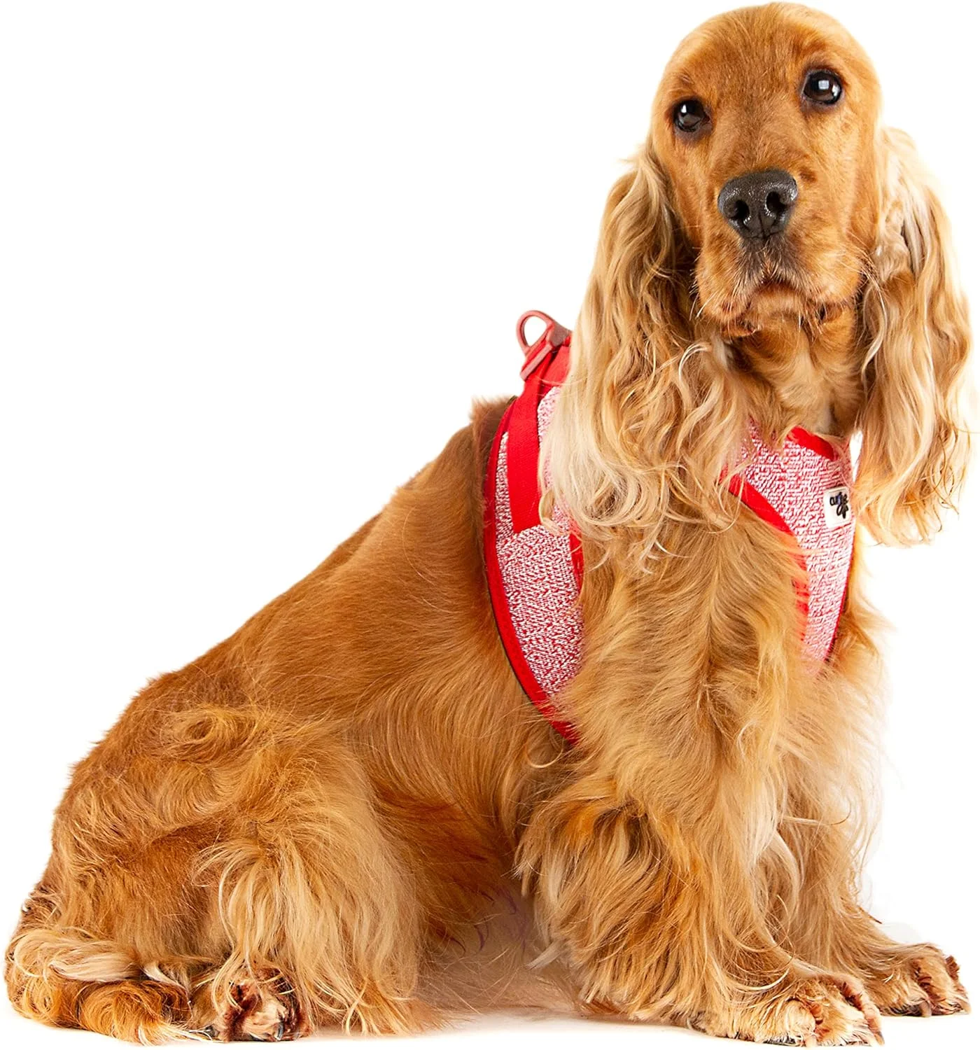 هارنس جلیقه ای سگ کرلی مدل مرینو با قفل کرلی - مشکی/XXXS