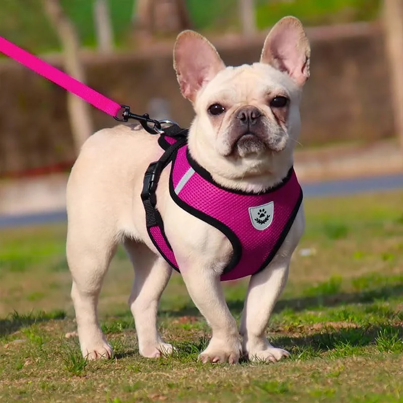 ست قلاده و بند سگ، قلاده نرم جلویی سگ، قلاده قابل تنظیم بازتابنده سگ بدون کشیدن، تنفسی برای سگ های کوچک و متوسط، گربه ها - سرخابی