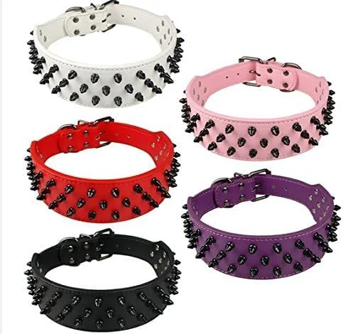 قلاده سگ چرمی مشکی میخ دار Dogs Kingdom با عرض 5 سانتی متر، 31 میخ و 52 گل میخ، مناسب برای نژادهای پیت بول و باکسر