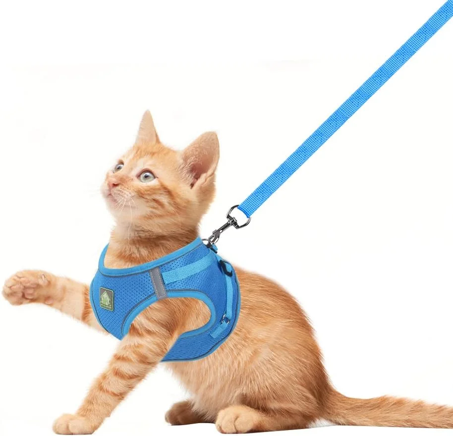 ست قلاده و بند سگ FEimaX، جلیقه سگ تنفسی توری نرم بدون کشش، قلاده حیوانات خانگی قابل تنظیم بازتابنده برای سگ ها و گربه های کوچک و متوسط - کنترل آسان در فضای باز برای پیاده روی