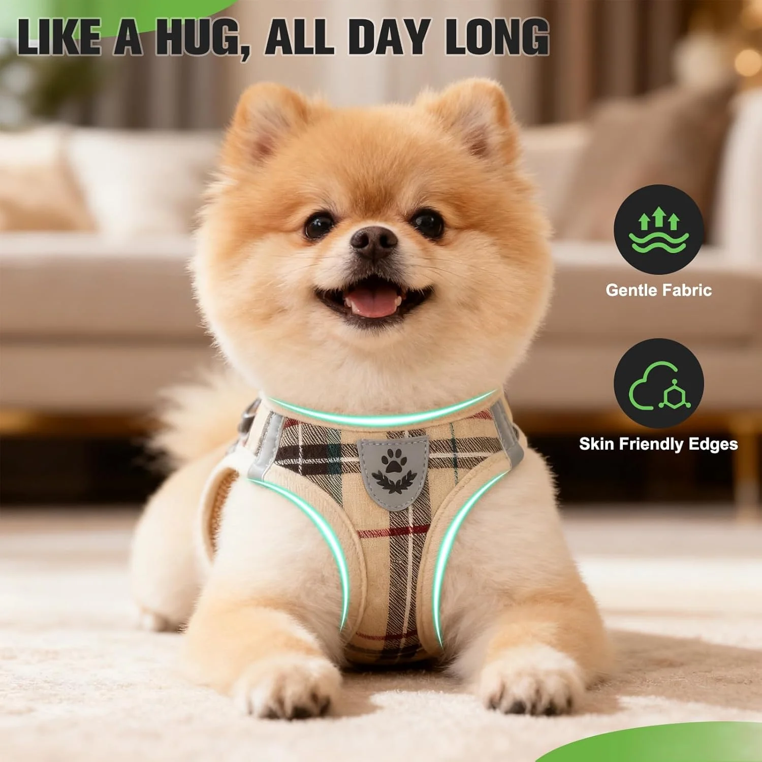 ست قلاده و بند سینه سگ EXPAWLORER - قلاده و بند قلاده سگ کوچک - جلیقه سگ کوچک طرح چهارخانه کلاسیک، بدون کشیدن، قابل تنظیم و ضد فرار برای پیاده روی در فضای باز ست قلاده و بند سینه سگ EXPAWLORER - قلاده و بند قلاده سگ کوچک - جلیقه سگ کوچک طرح چهارخانه کلاسیک، بدون کشیدن، قابل تنظیم و ضد فرار برای پیاده روی در فضای باز